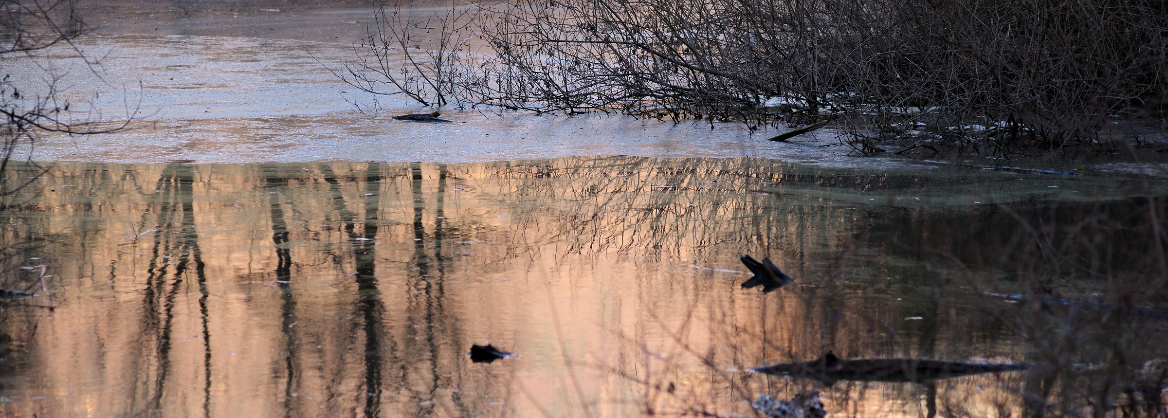 Bubbles of Magadino/Lake Maggiore