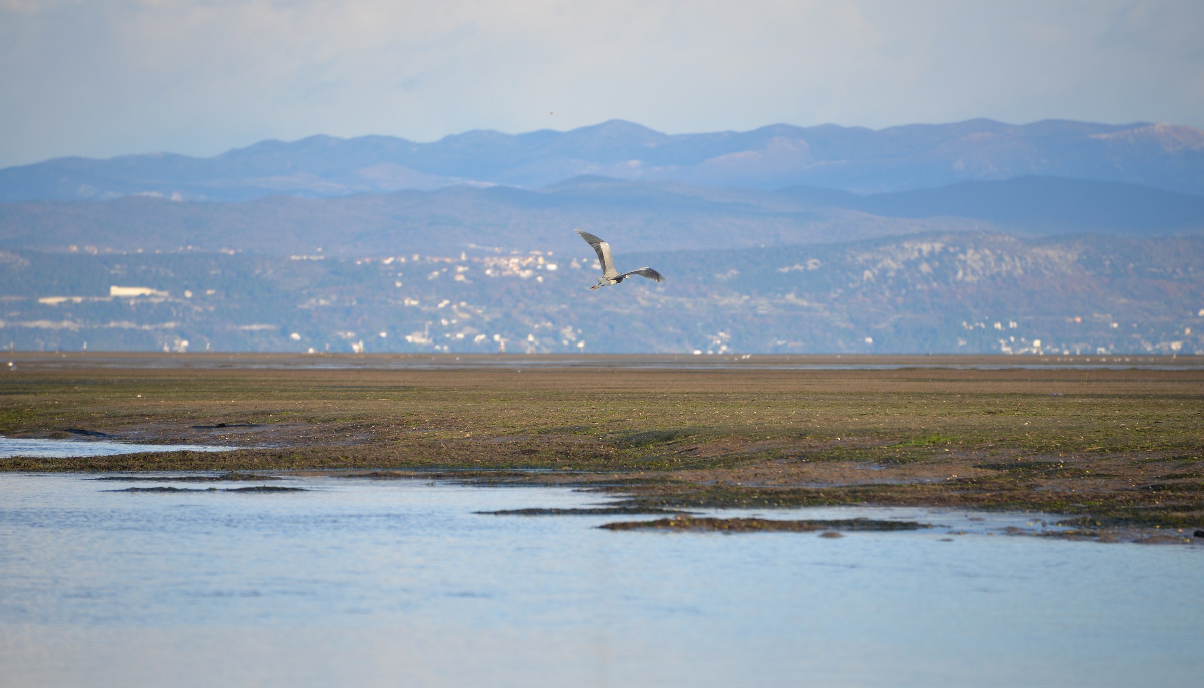 Bassa marea con Cenerino