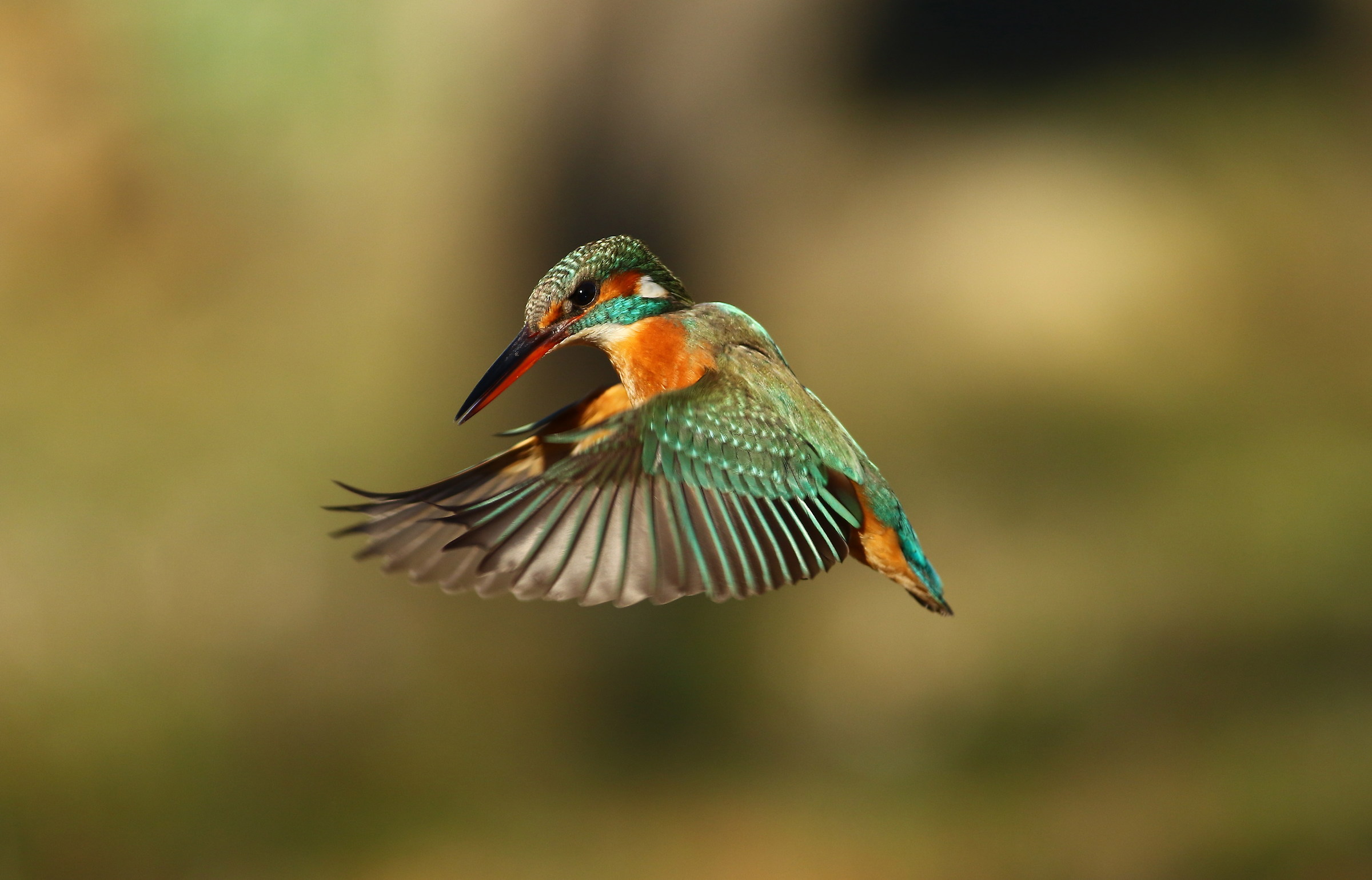 Martin and the Holy Spirit