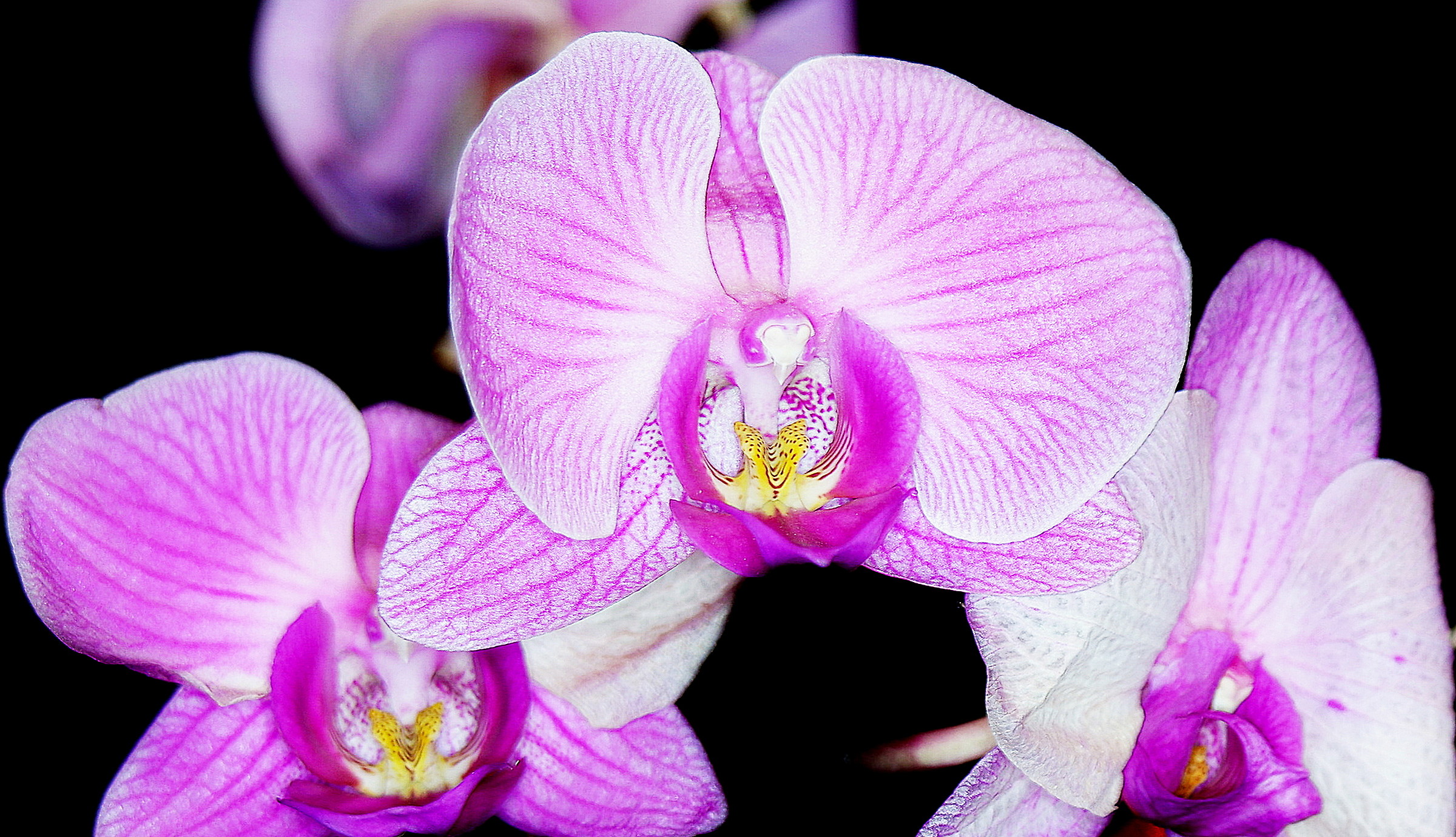 bella ma difficile (da fotografare)