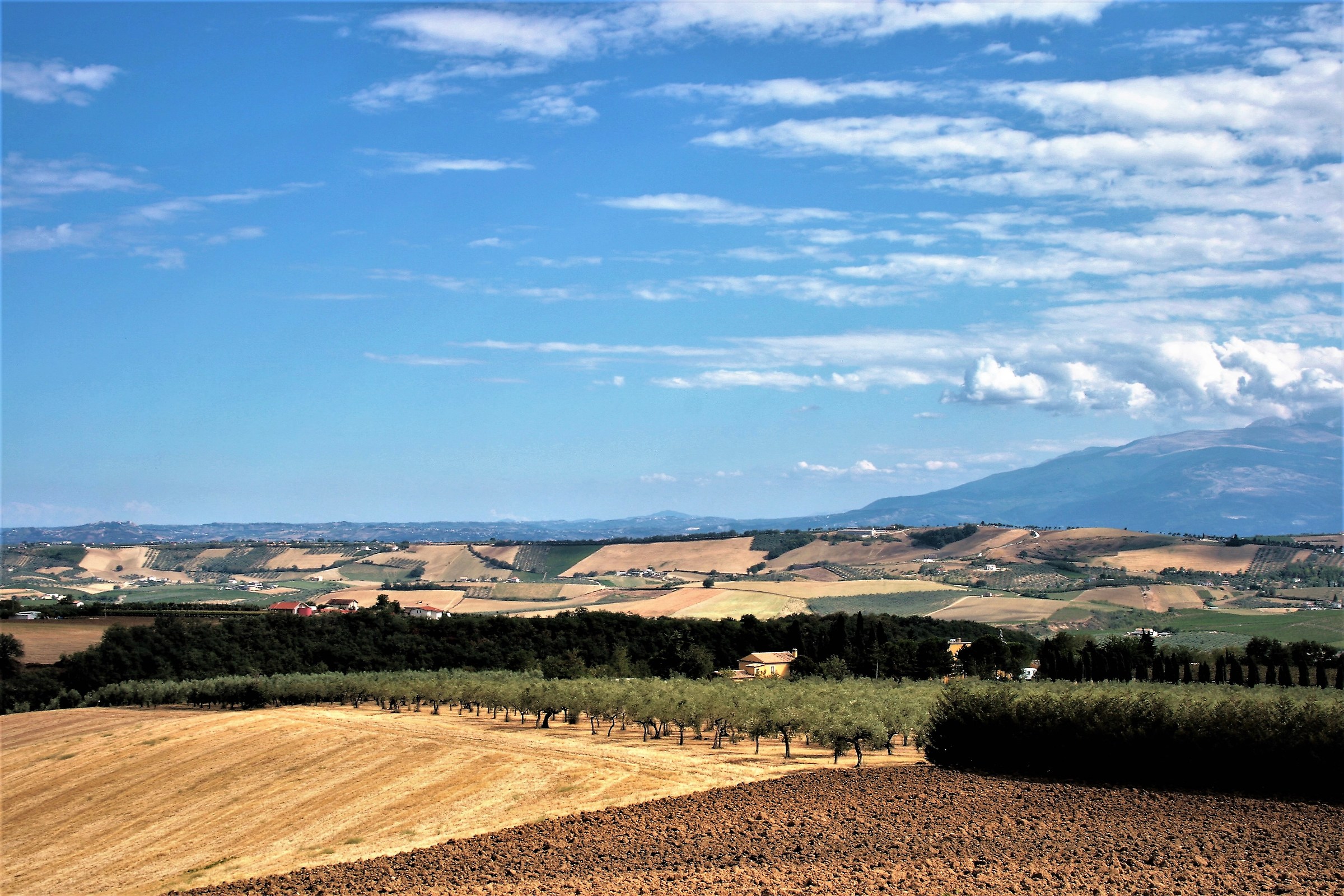 Agricultural Panorama of Loreto Aprutino