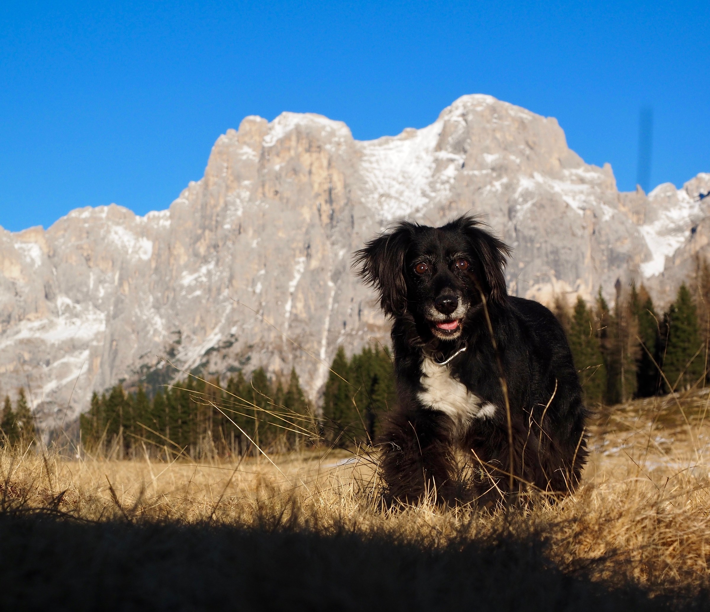Giusty in the mountains