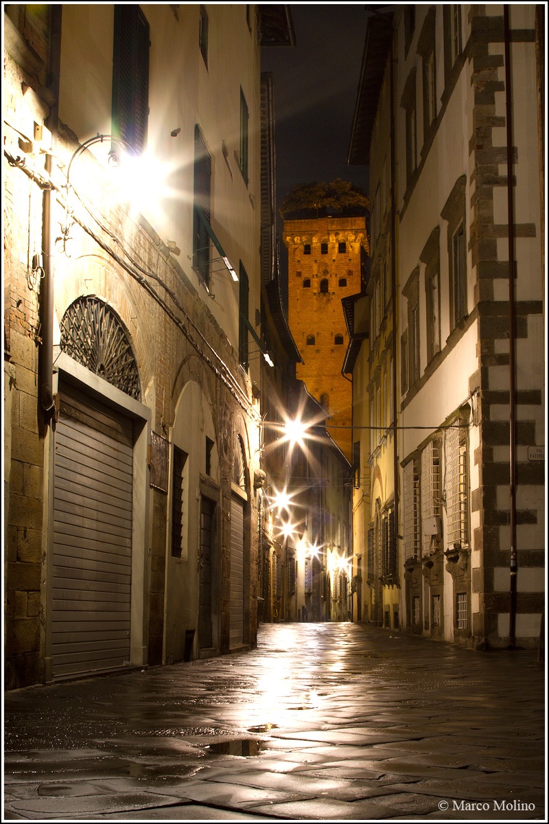 Lucca, Torre Guinigi