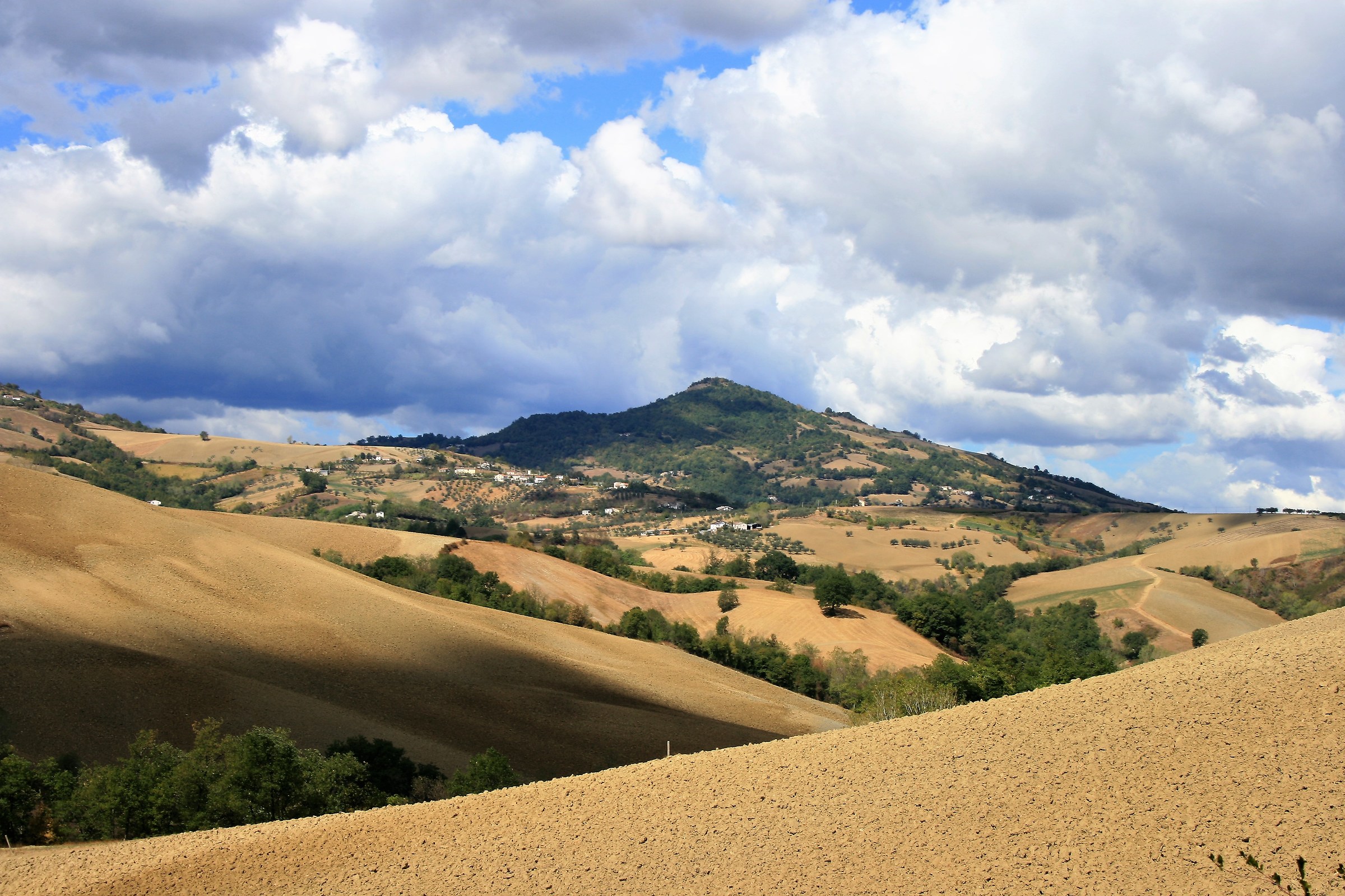 Campi Arati in Contrada Fiorano a Loreto Aprutino