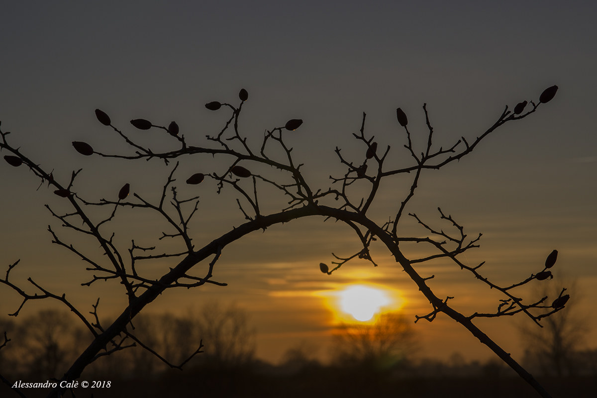 Tramonto nei Magredi 5487