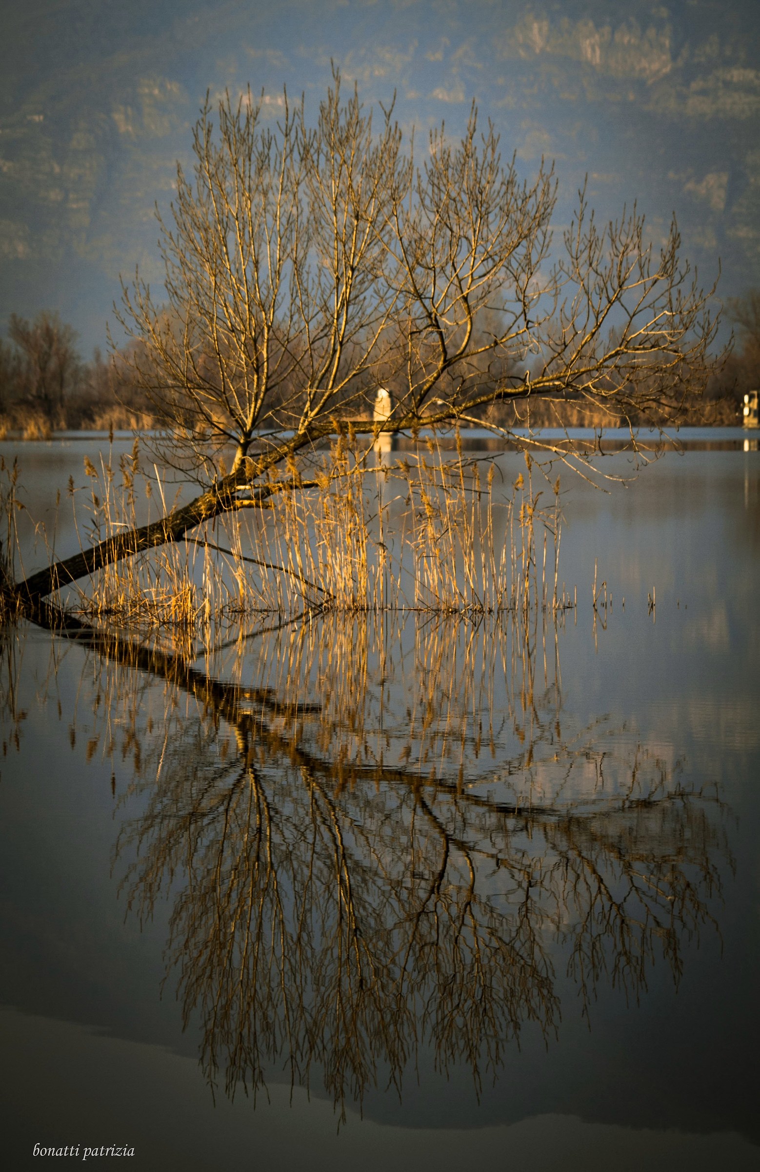 Il mio Monet  alla finestra