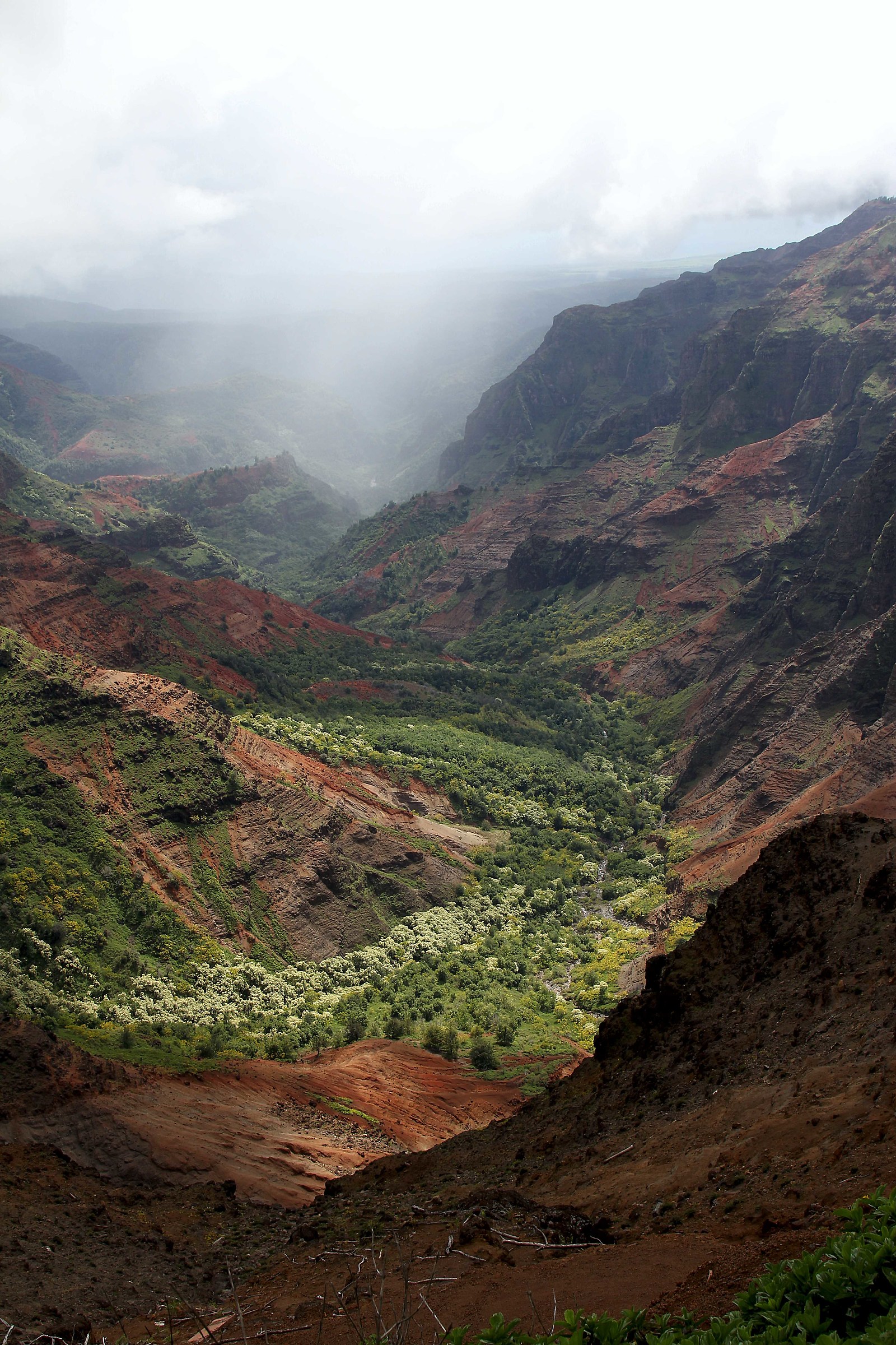 Waimea Canyon vista
