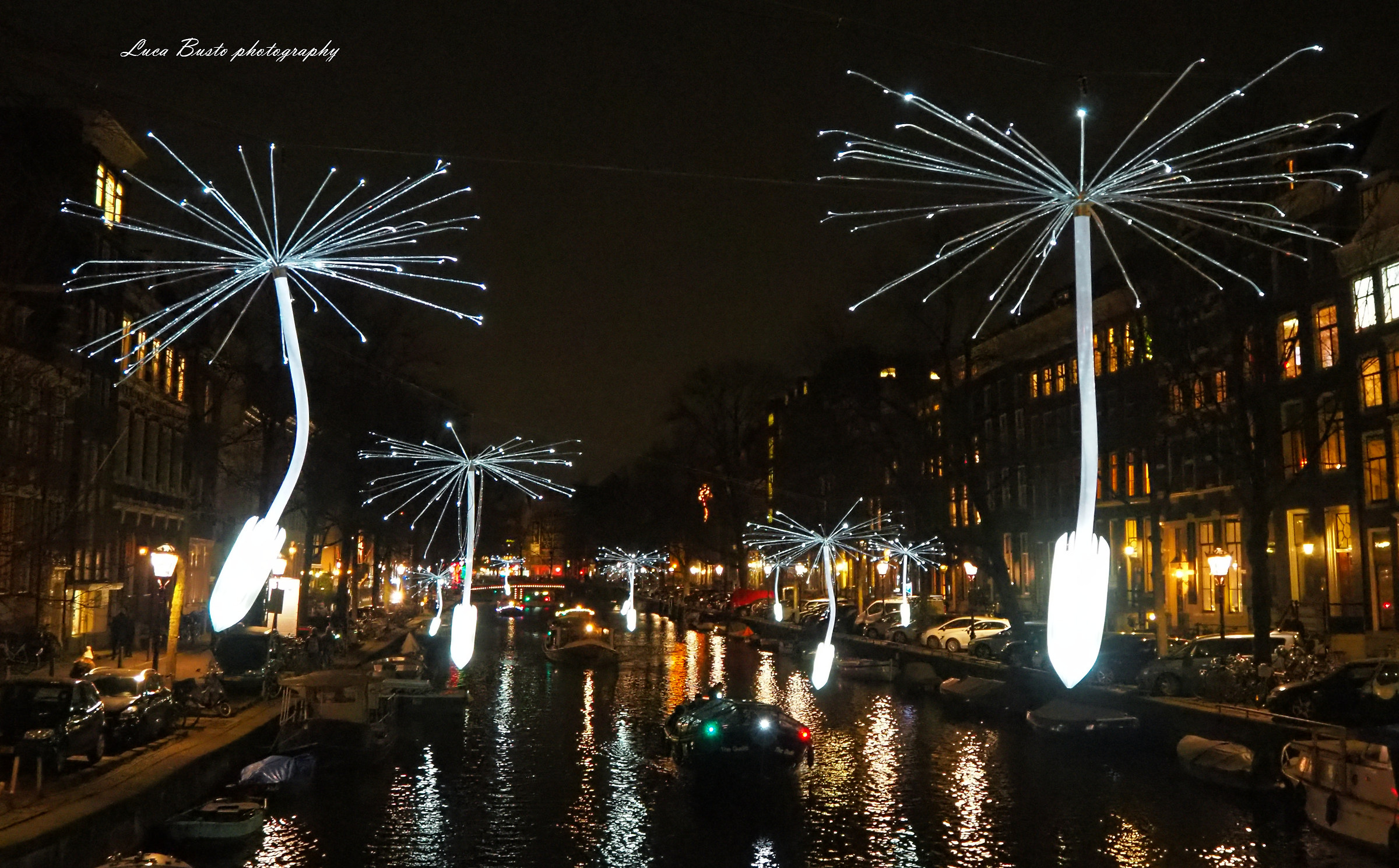 Dandelion Blow-dandelions