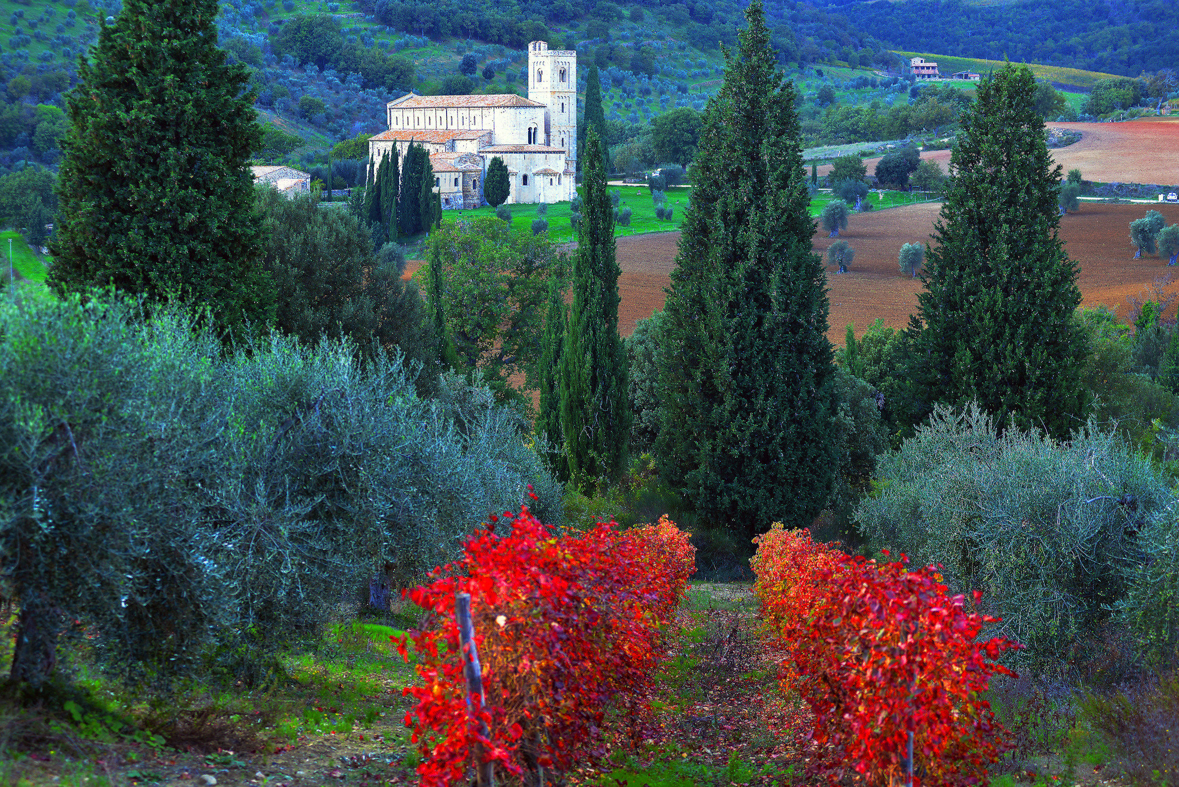 Abbey of S'antimo (Montalcino)