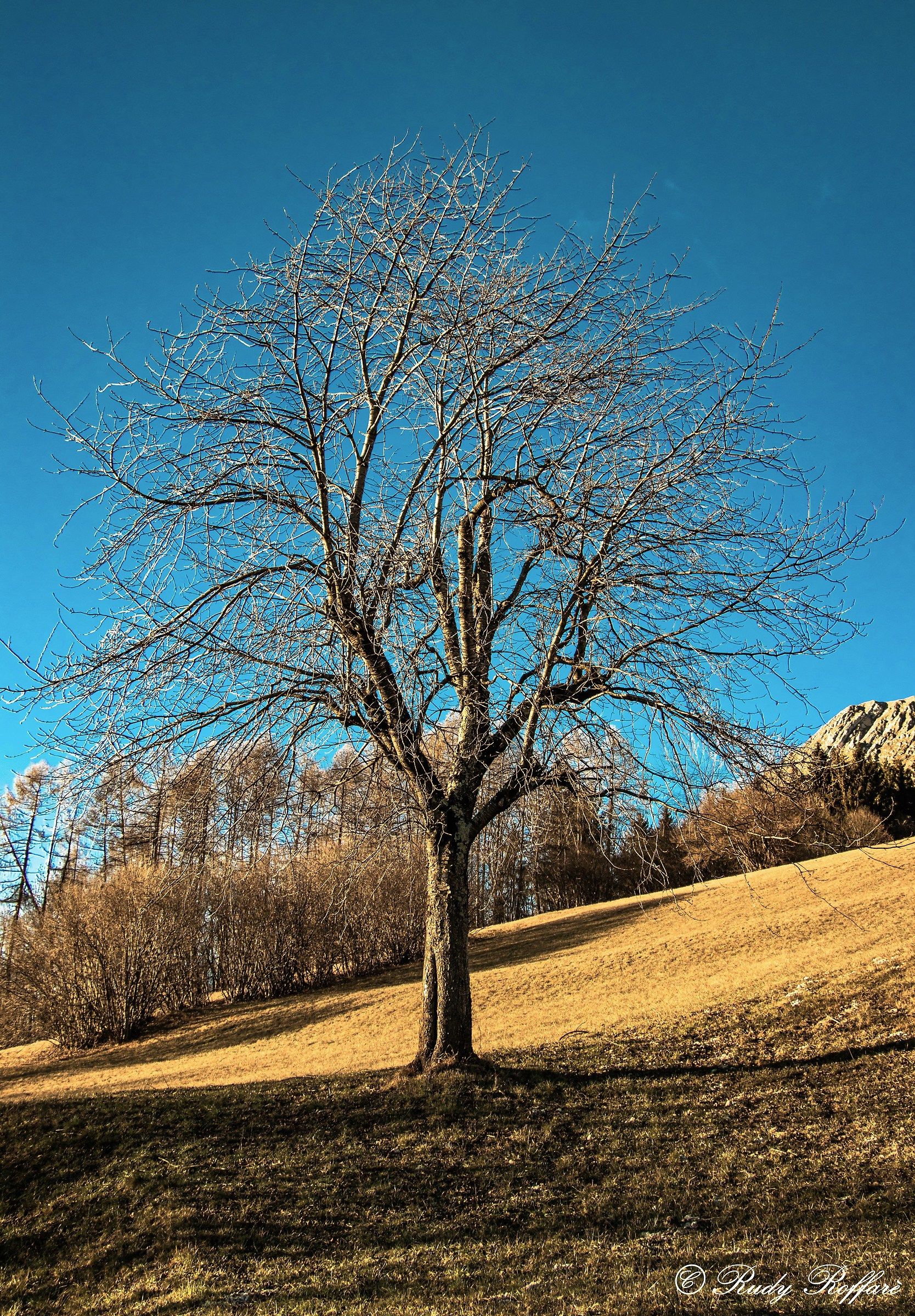dicembre 2058 ancora li?