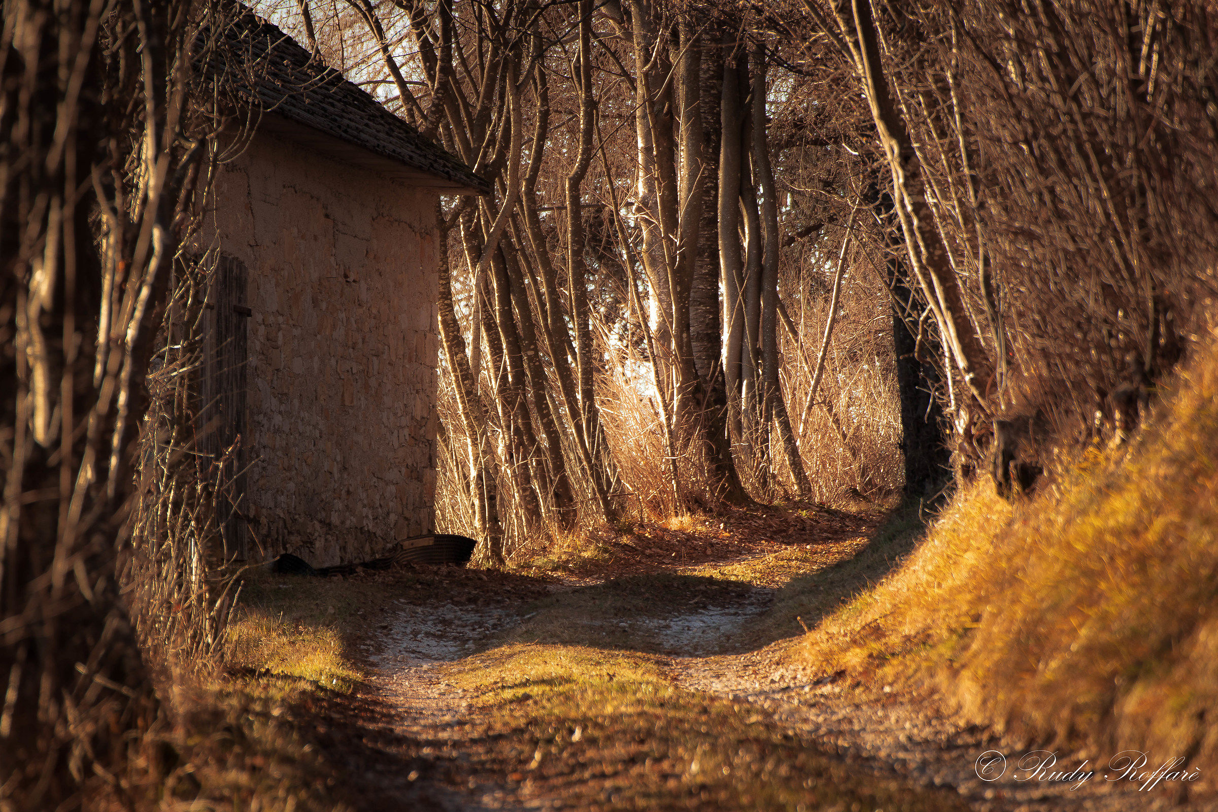 camminata prealpi bellunesi