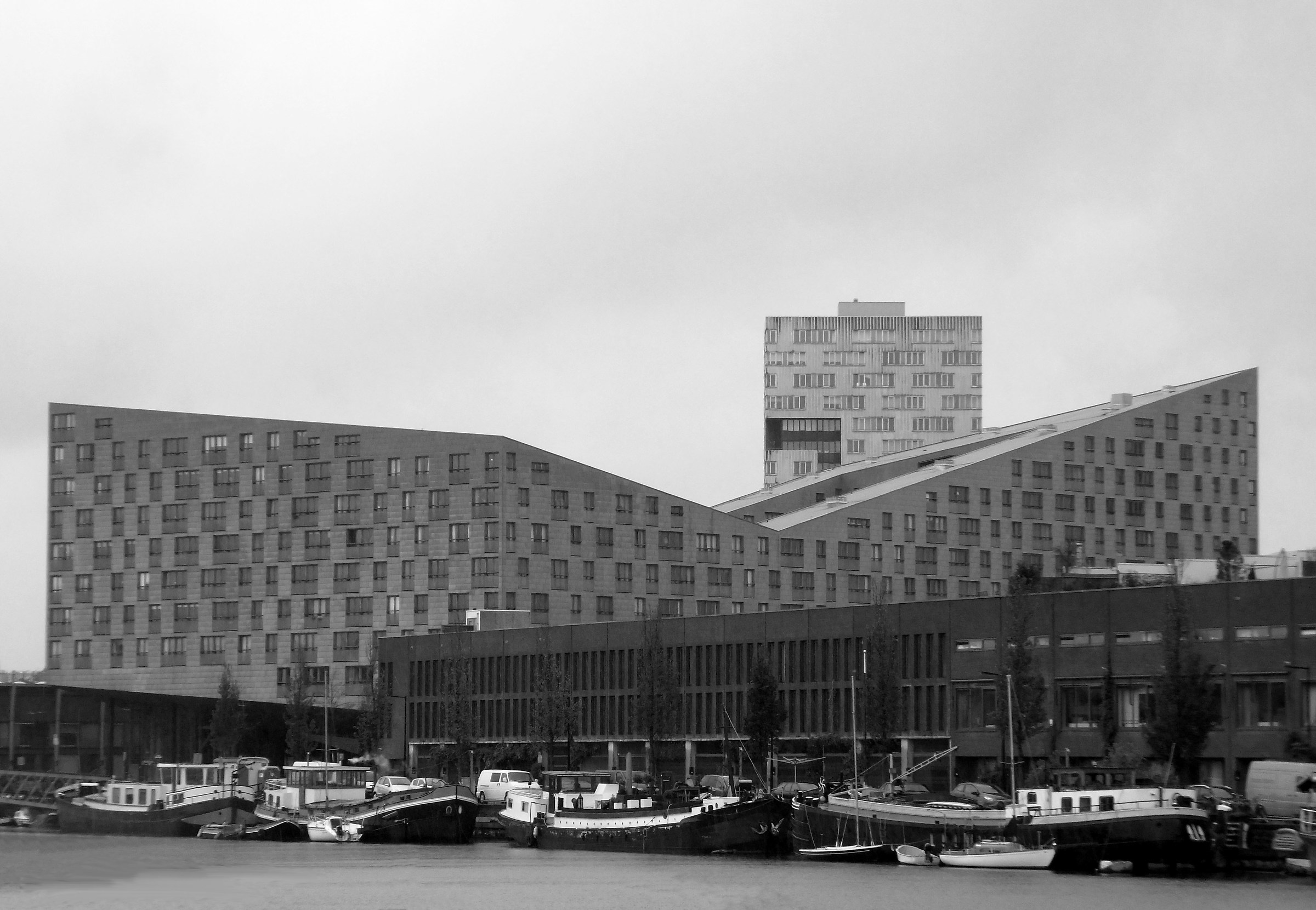 The Whale _ Amsterdam