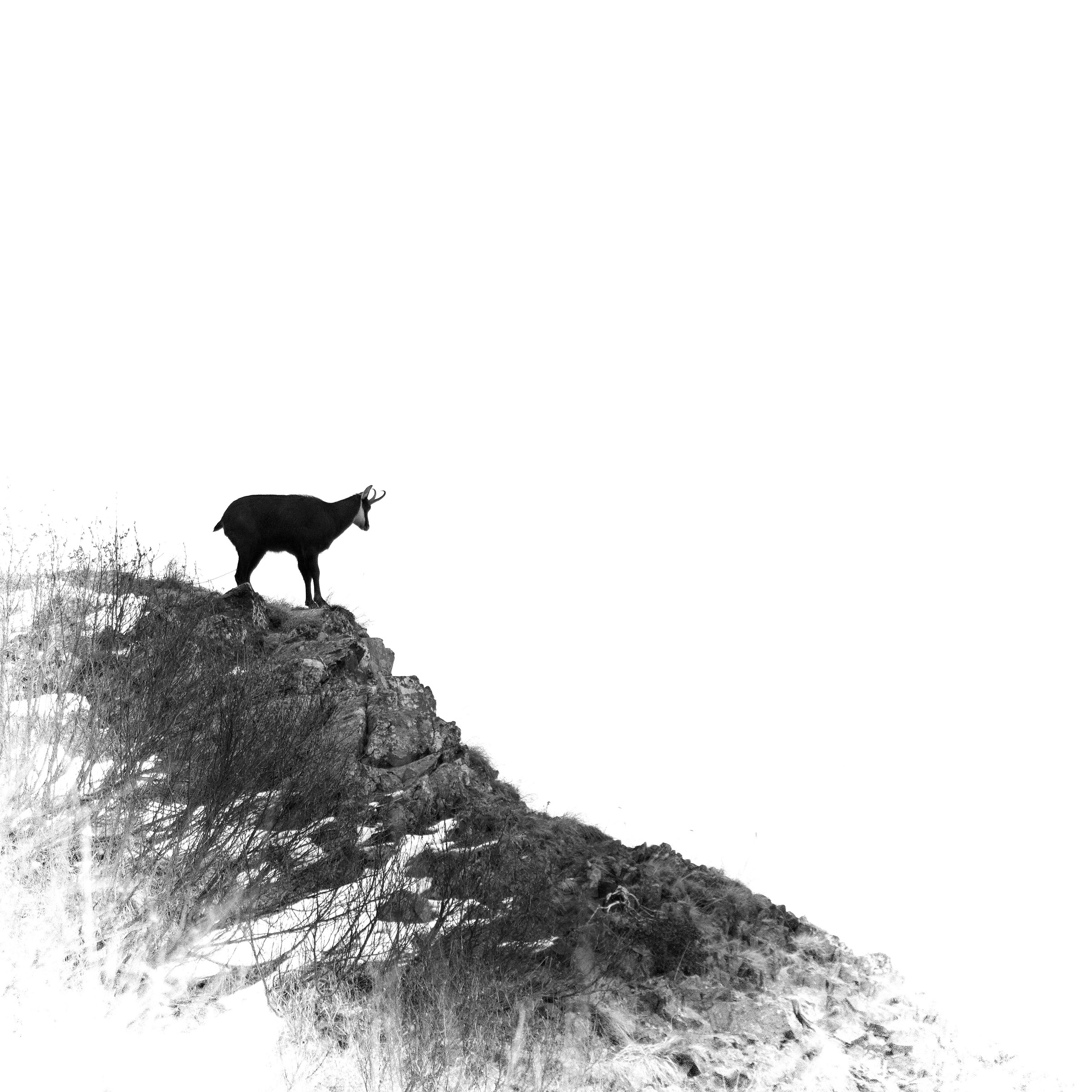 Waiting for the winter