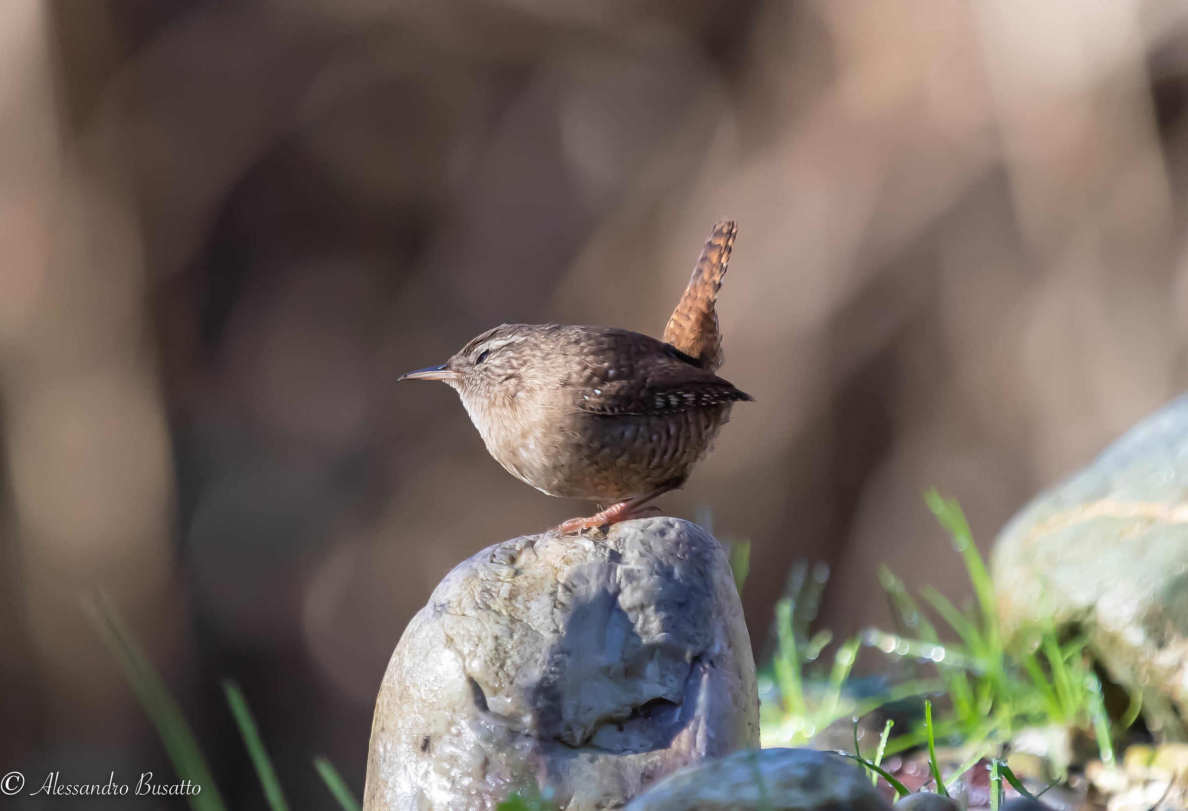 I'm going to take a nap