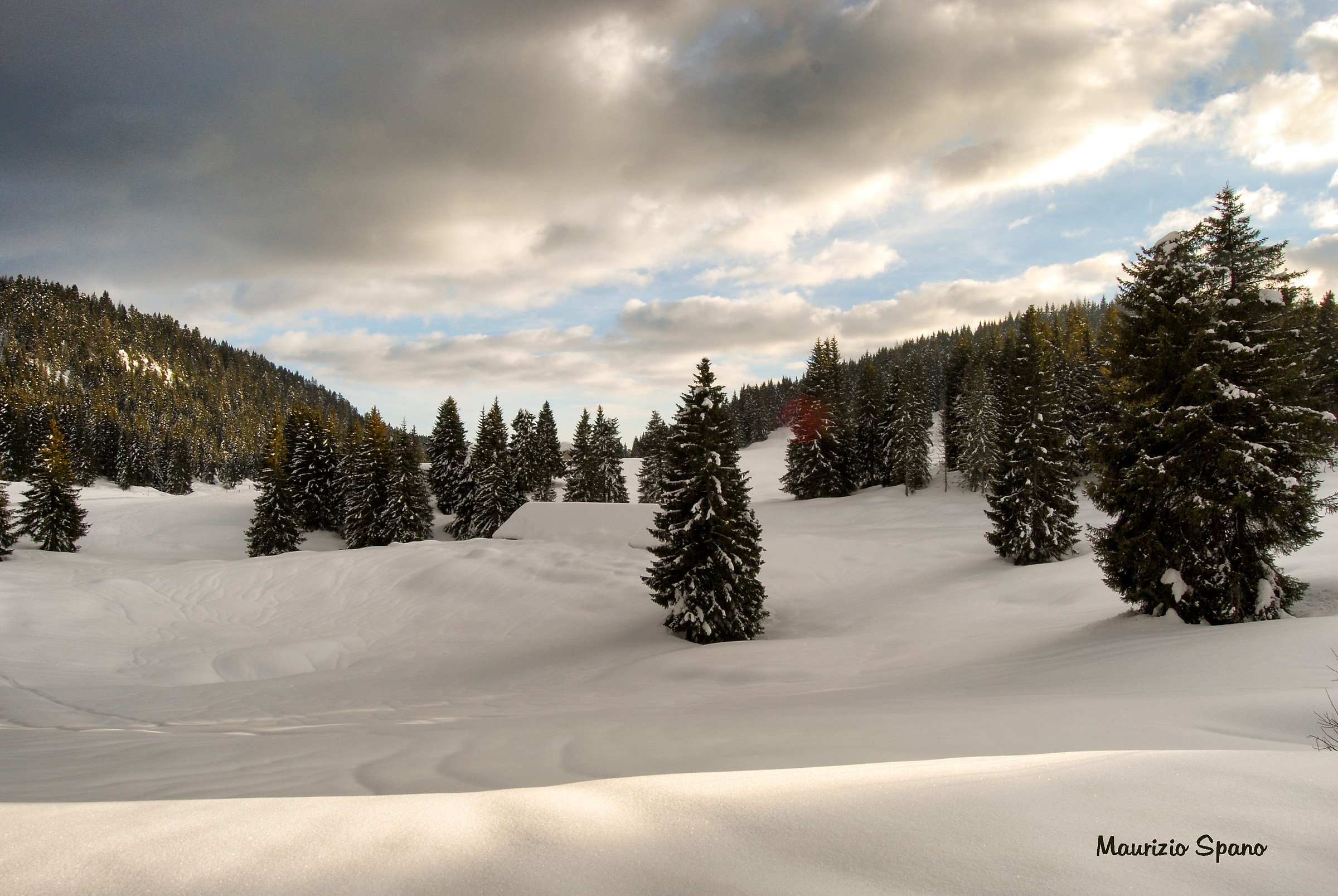 Perdersi tra neve e cielo...