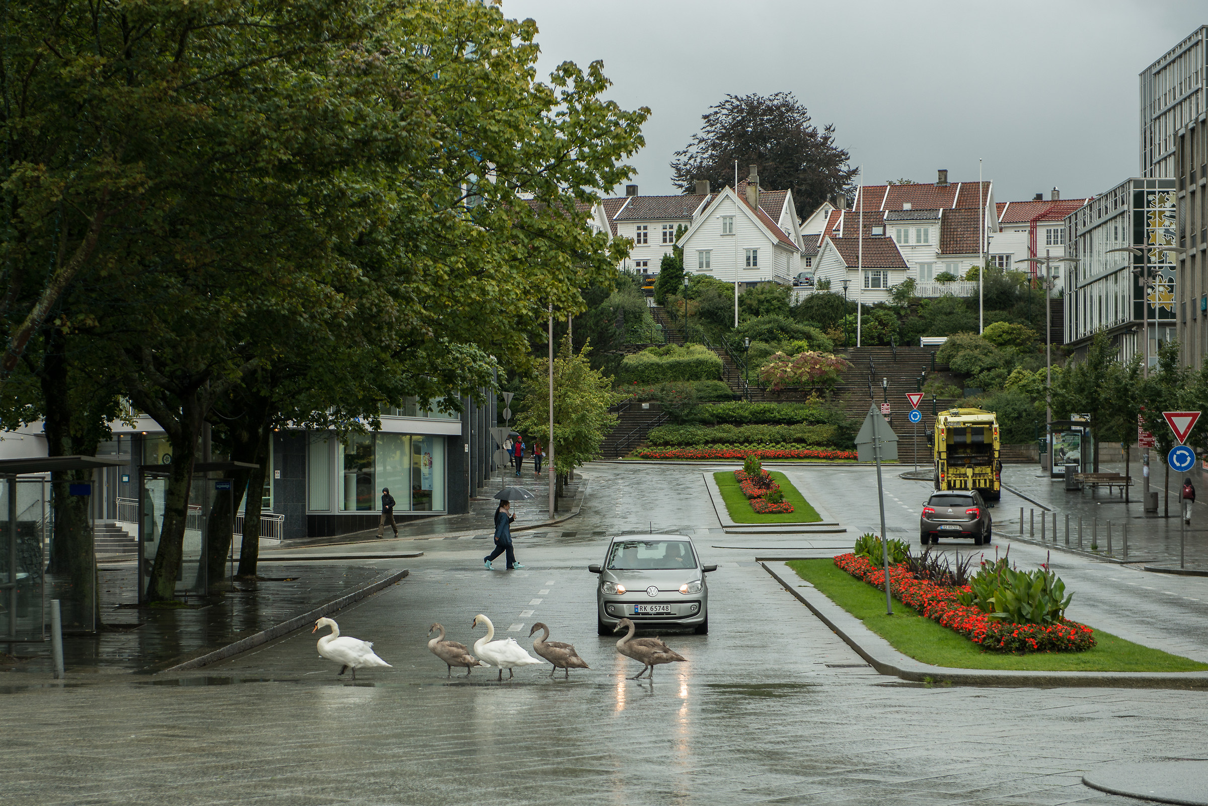 Attraversamento pedonale