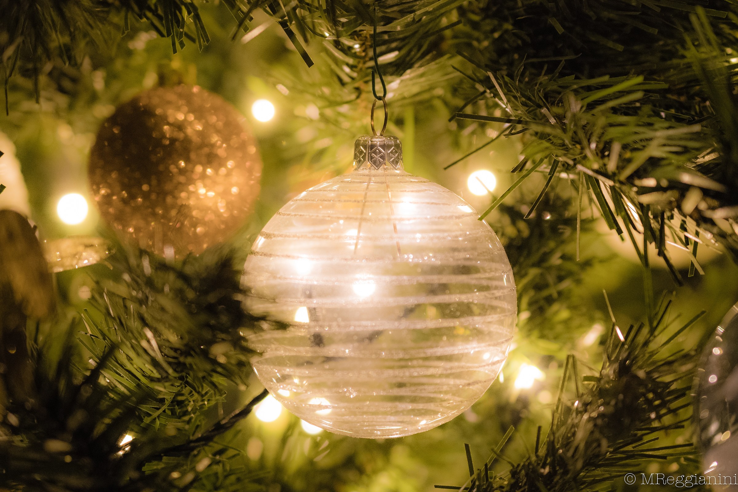 Sbirciando dentro l'albero, la notte di Natale