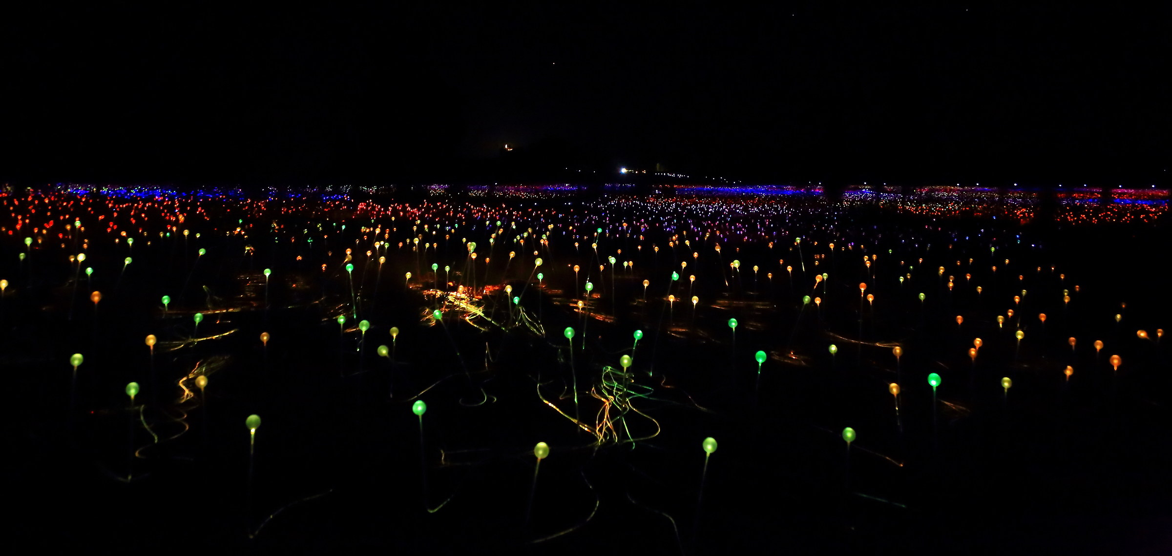 Field of Lights