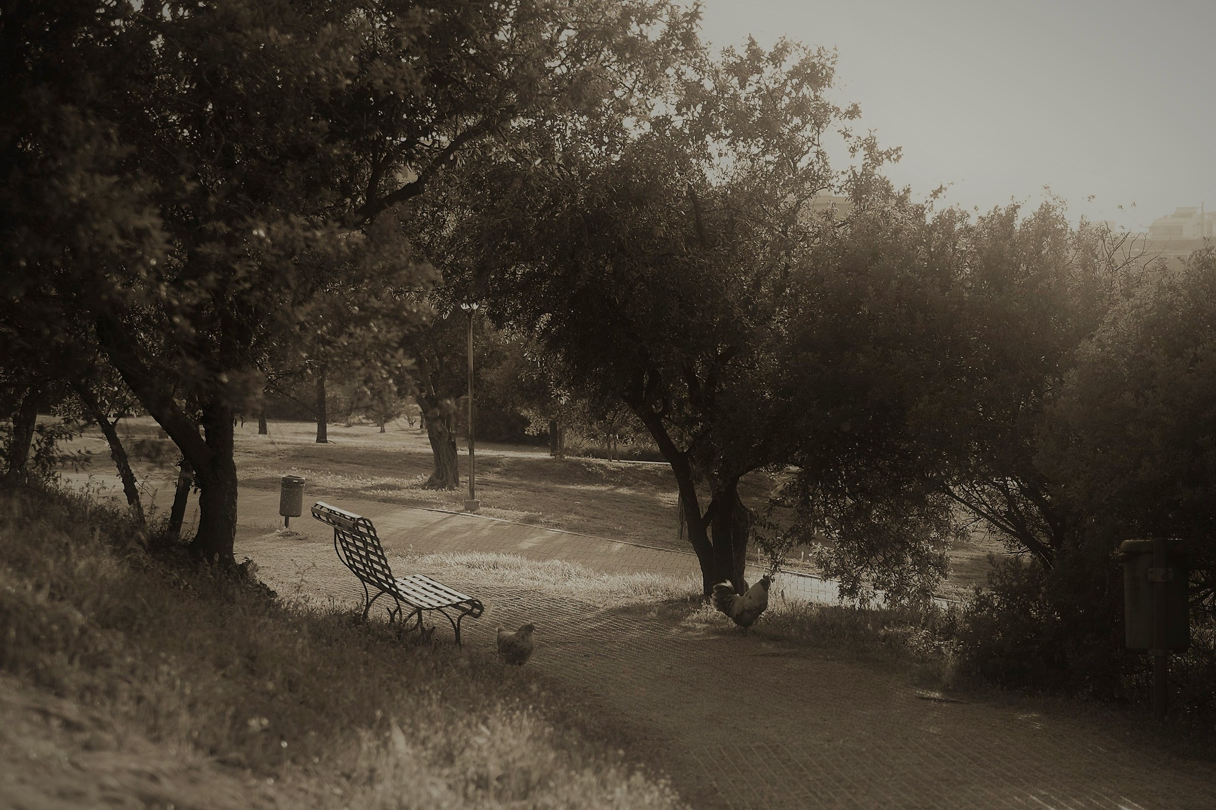 A dip in the past...