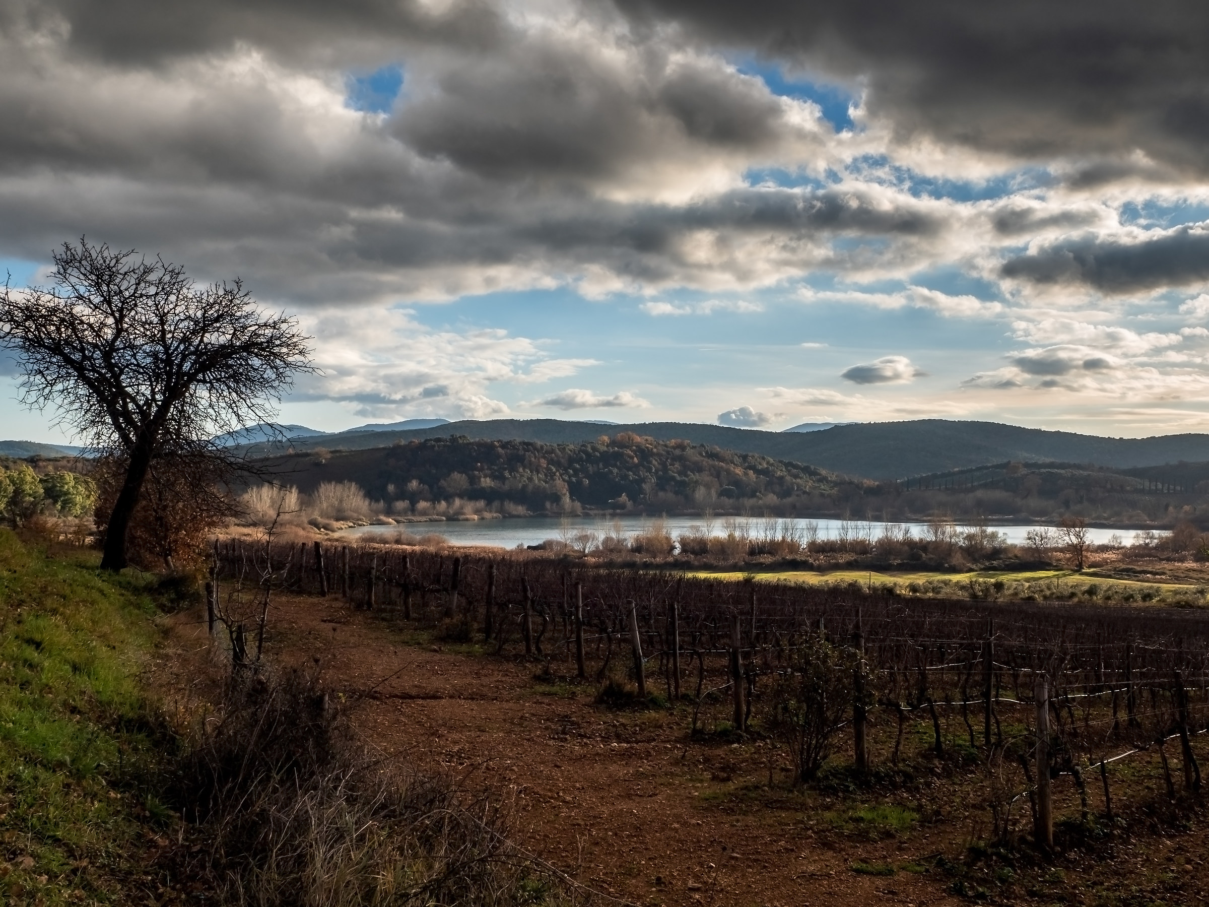 Glimus of light on the lake