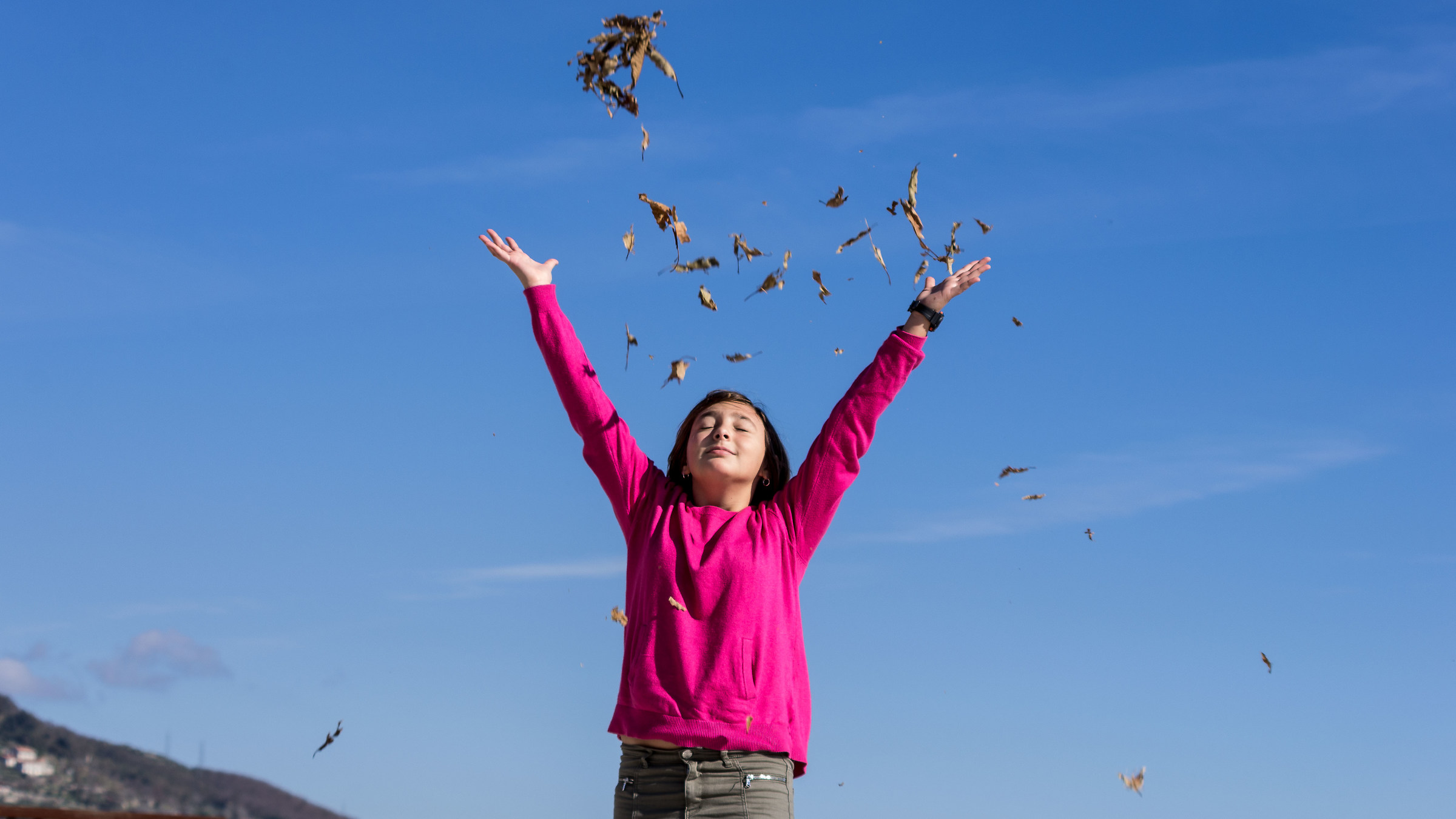 Leaves and colors....