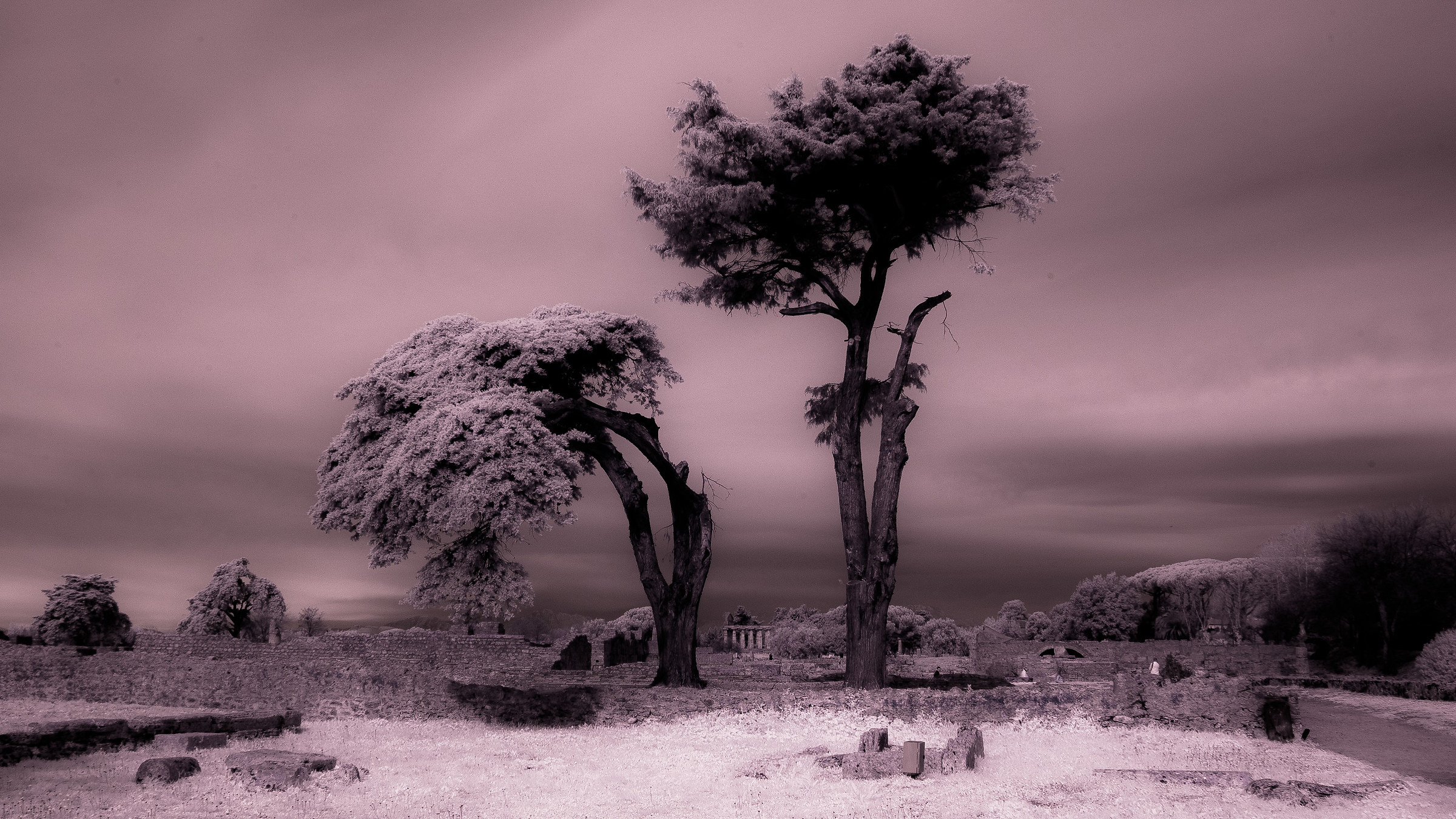 Excavations of Paestum, IR