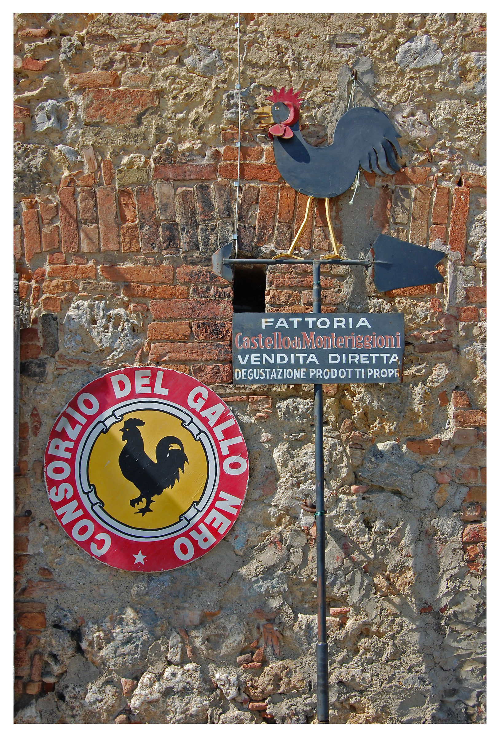 Consorzio Gallo Nero _ Siena