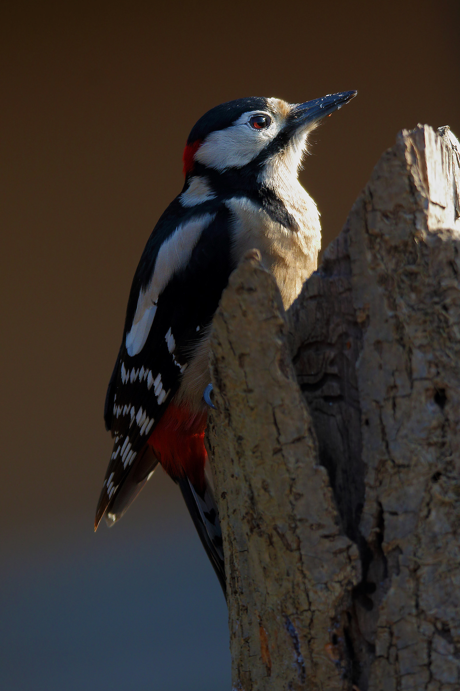 Kissed by the sun...