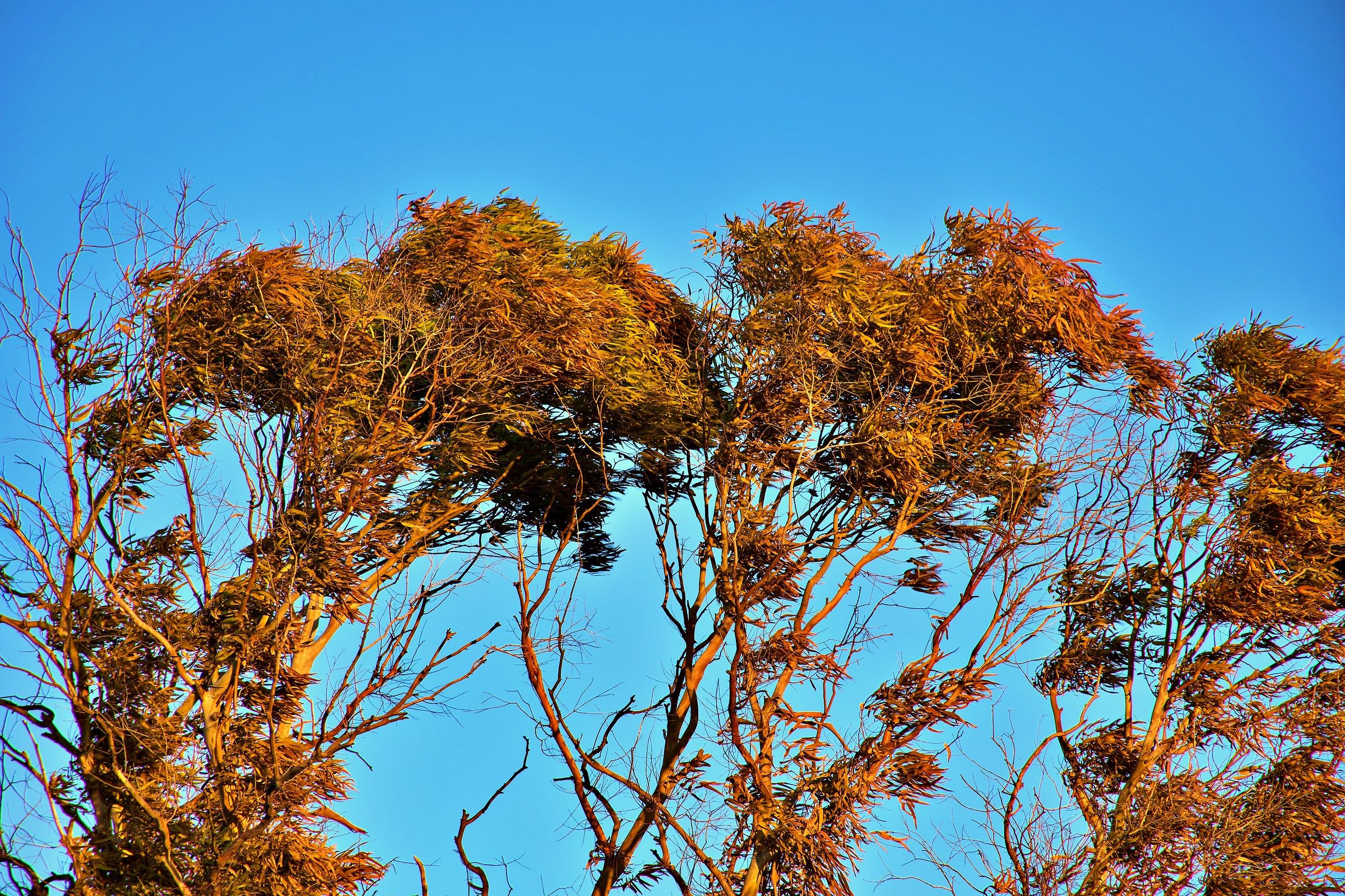 Vento di tramonto sul Sentiero Pasolini