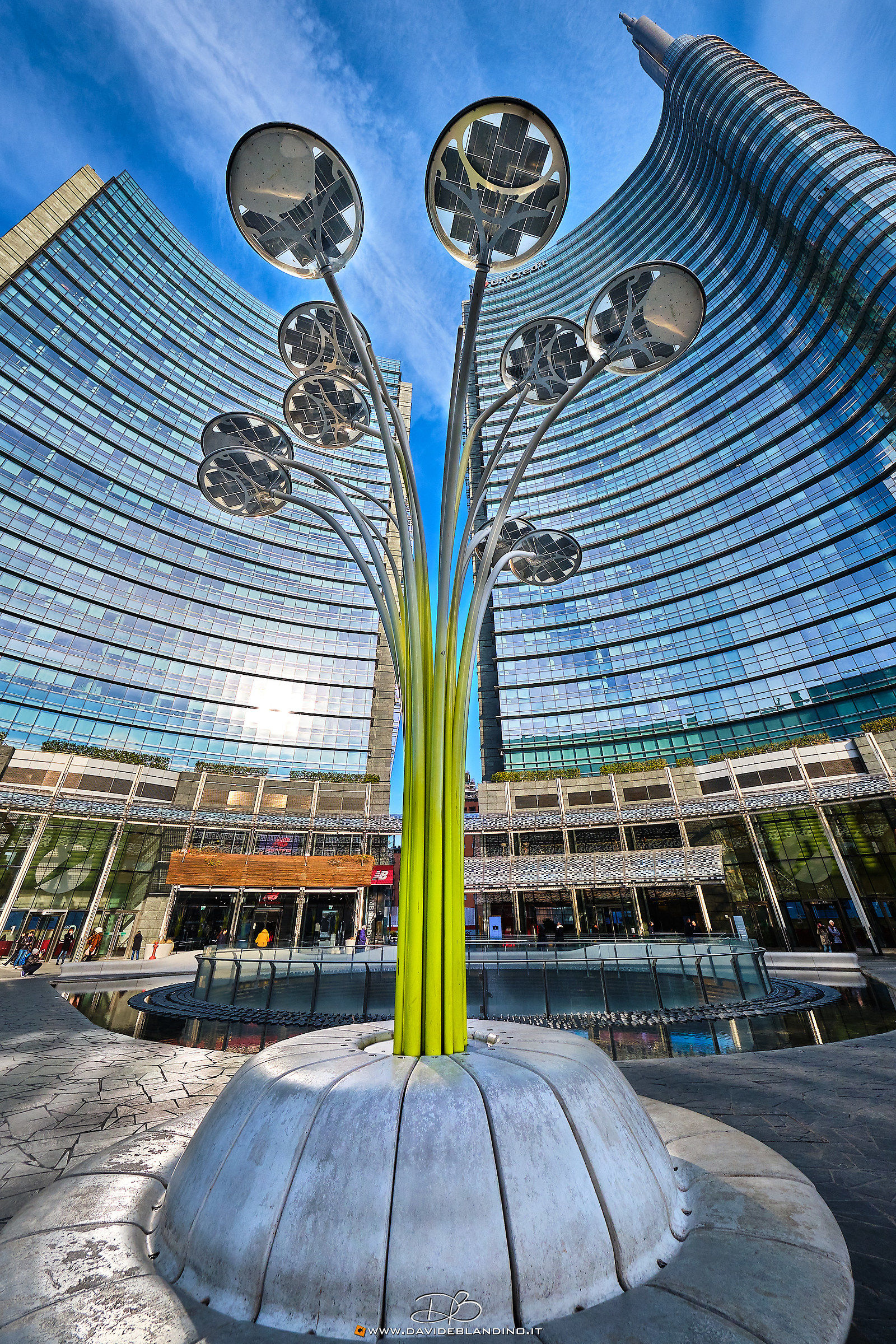 Strane inflorescenze a Milano