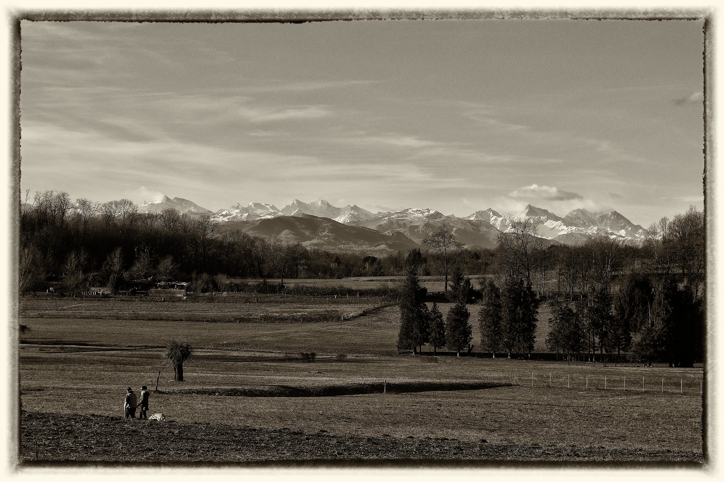 Scorcio catena del Monte Rosa da Azzate
