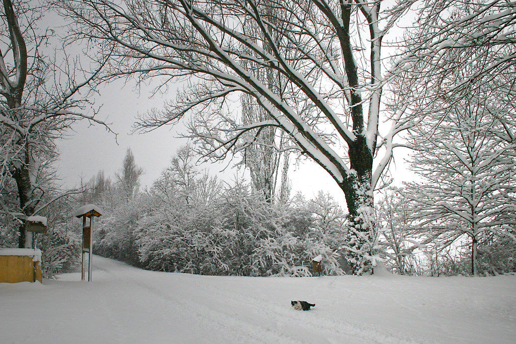 Snow in the Casone del Partigiano