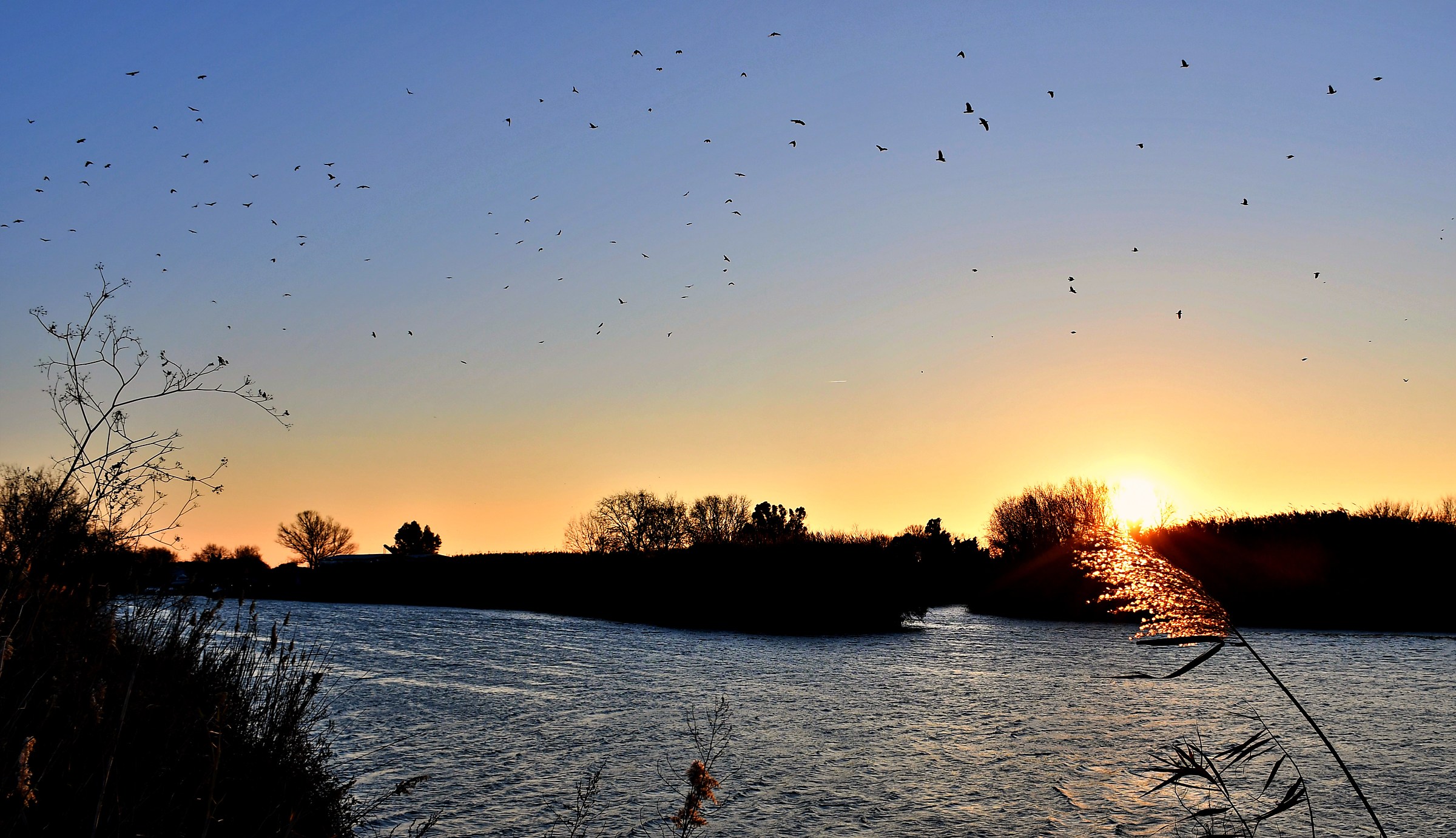 Capo due rami-Ostia Antica. Vista dal sentiero Pasolini