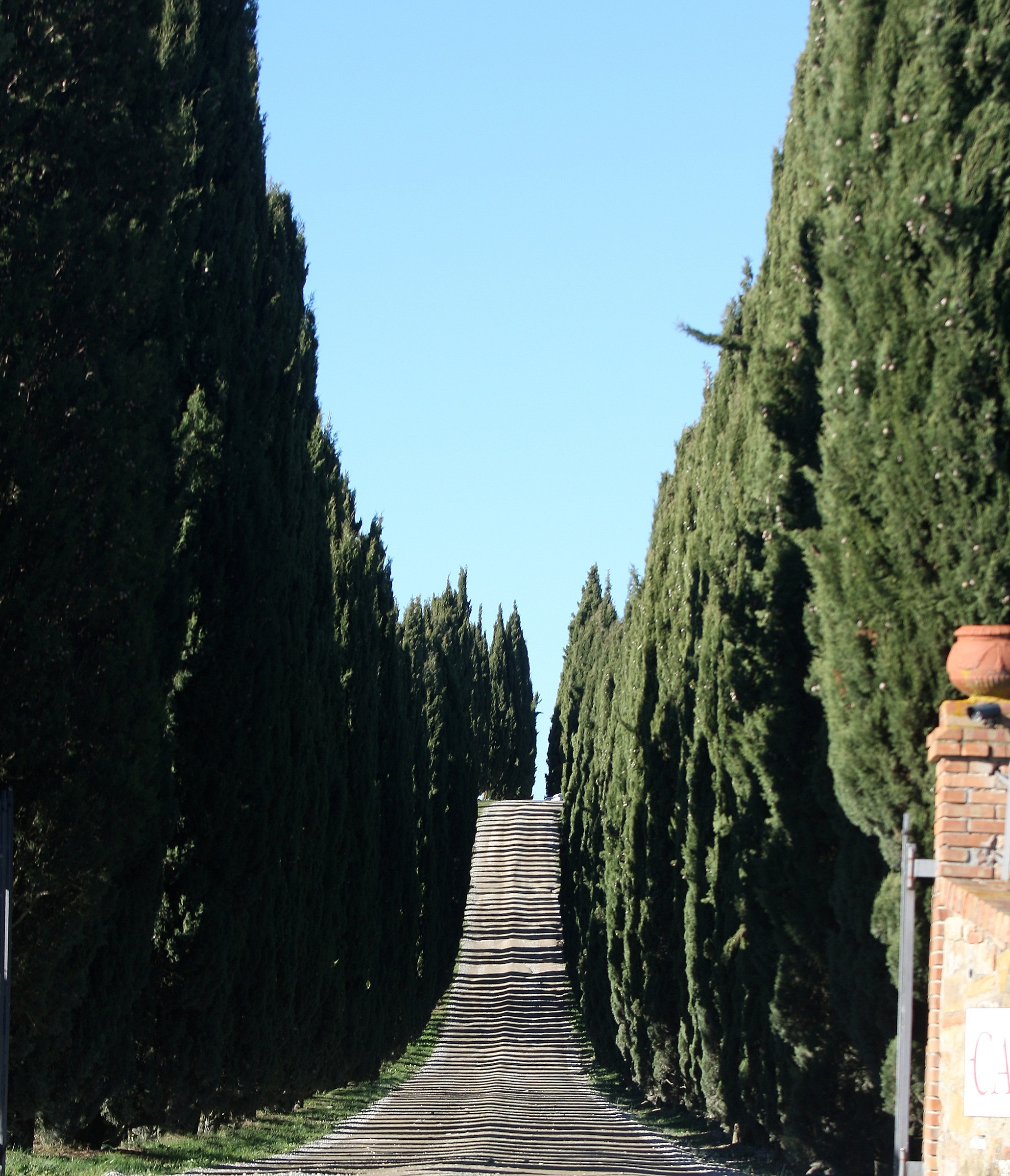 6297-001 Hills Tuscany