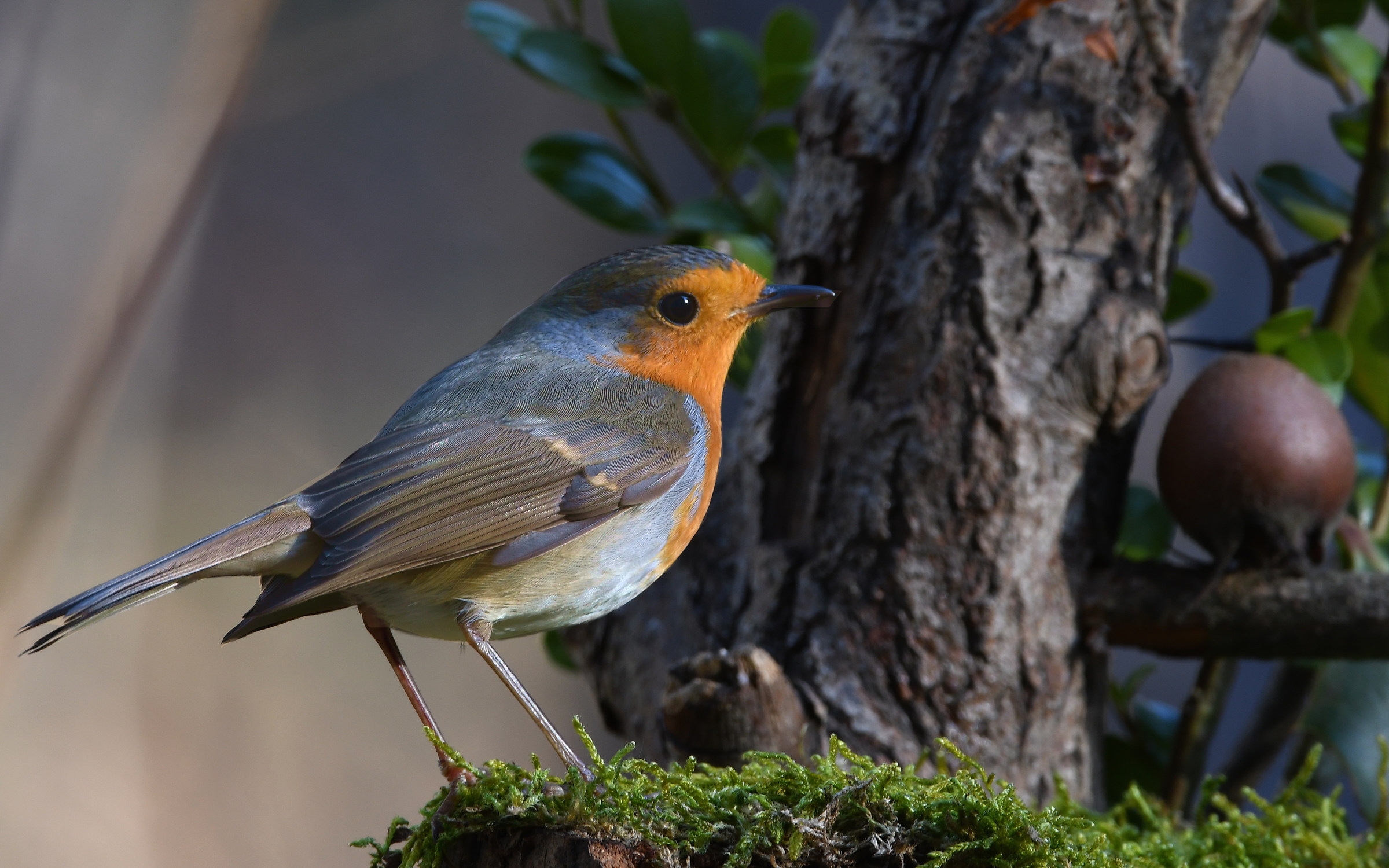 Will this snow come?