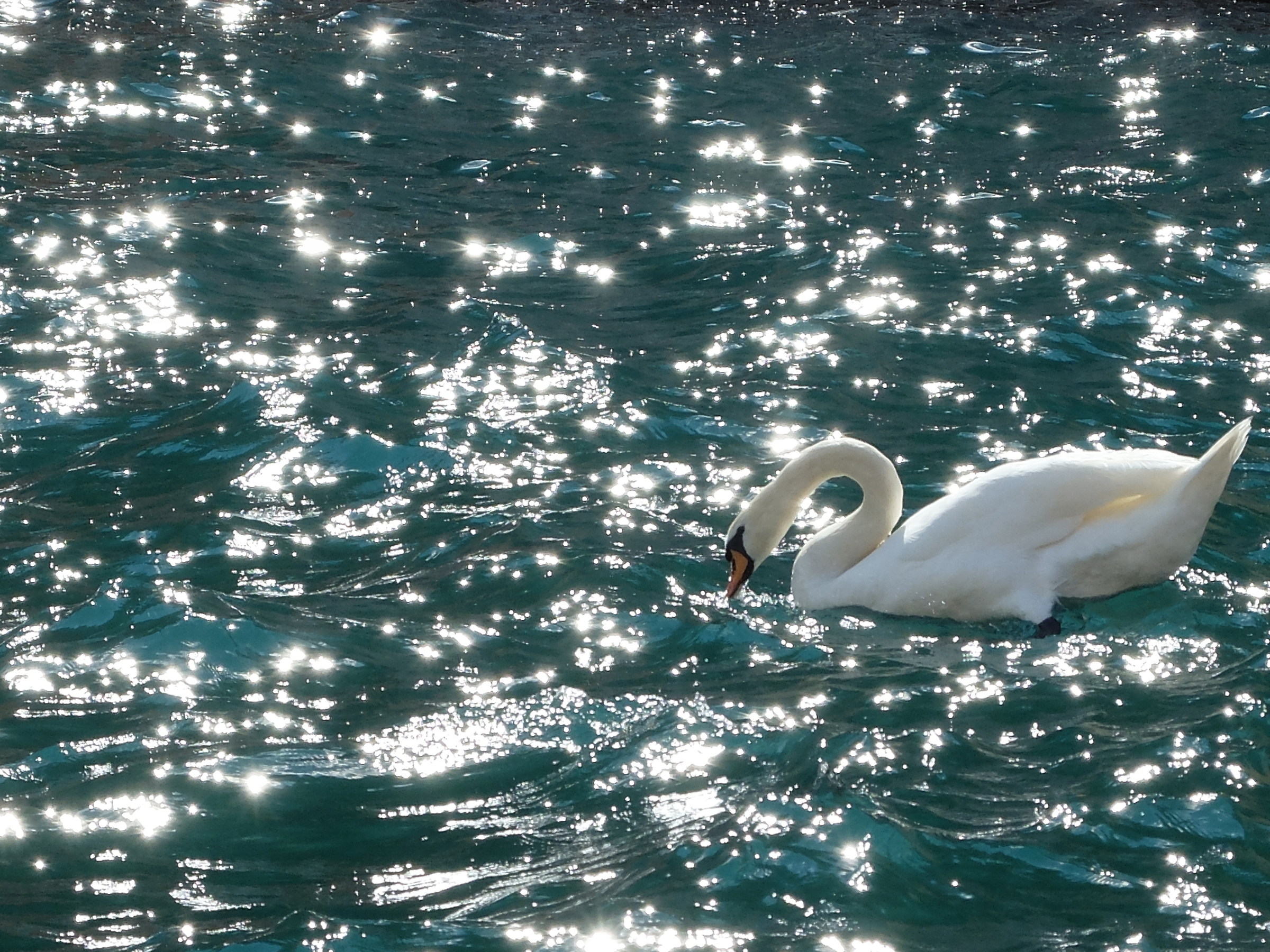 Romantic Reflections