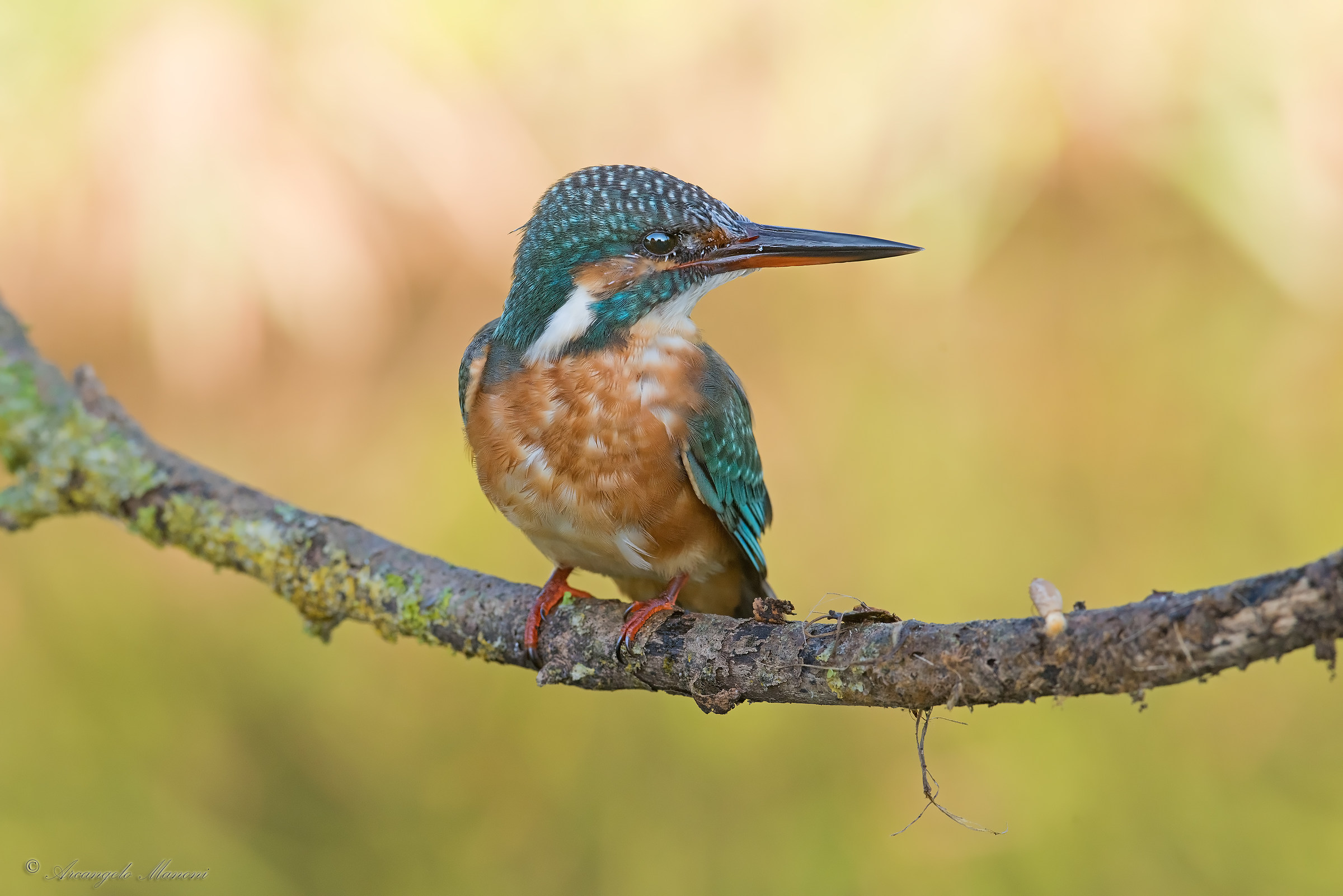 Fra i riflessi dell'autunno