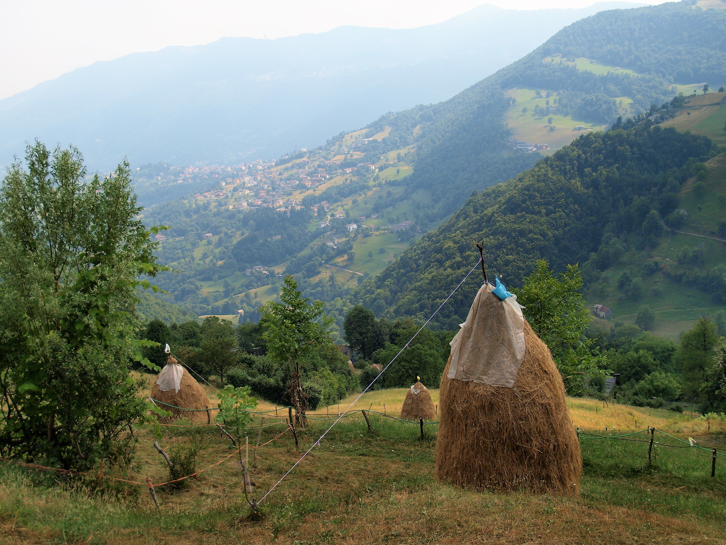 Pagliai in Val Imagna