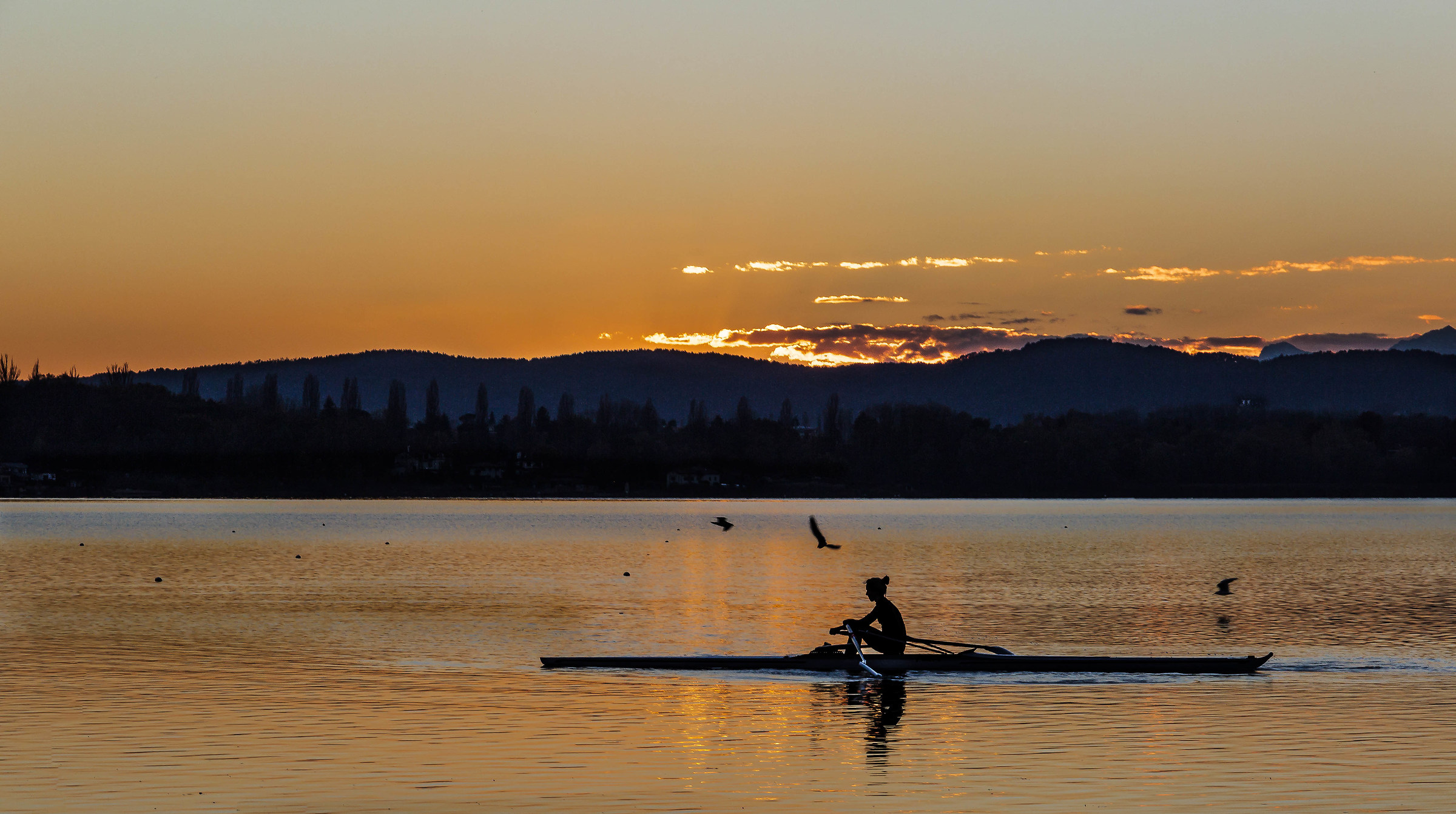 Viaggiatori della sera ...