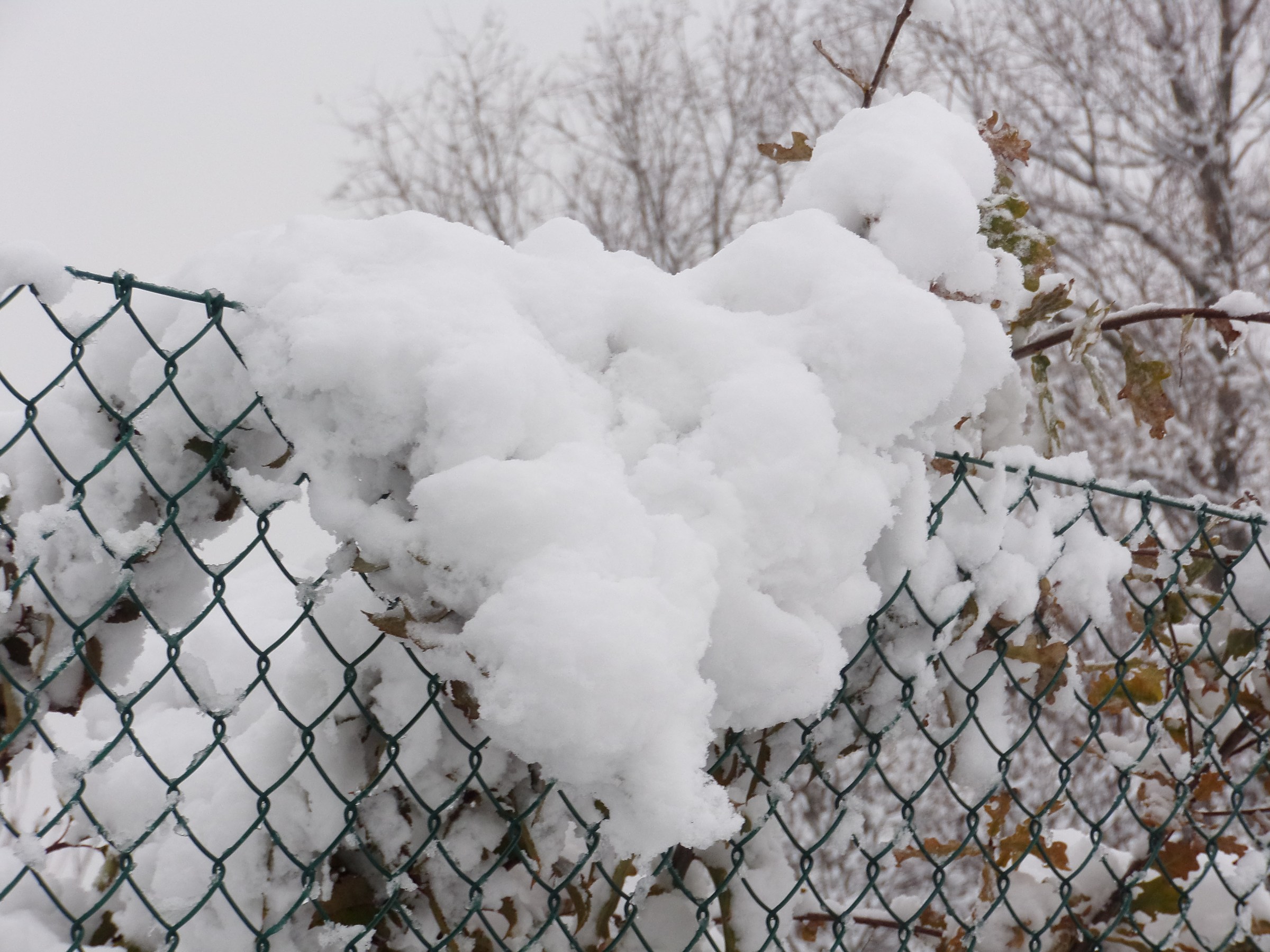 Un po' di neve non fa male