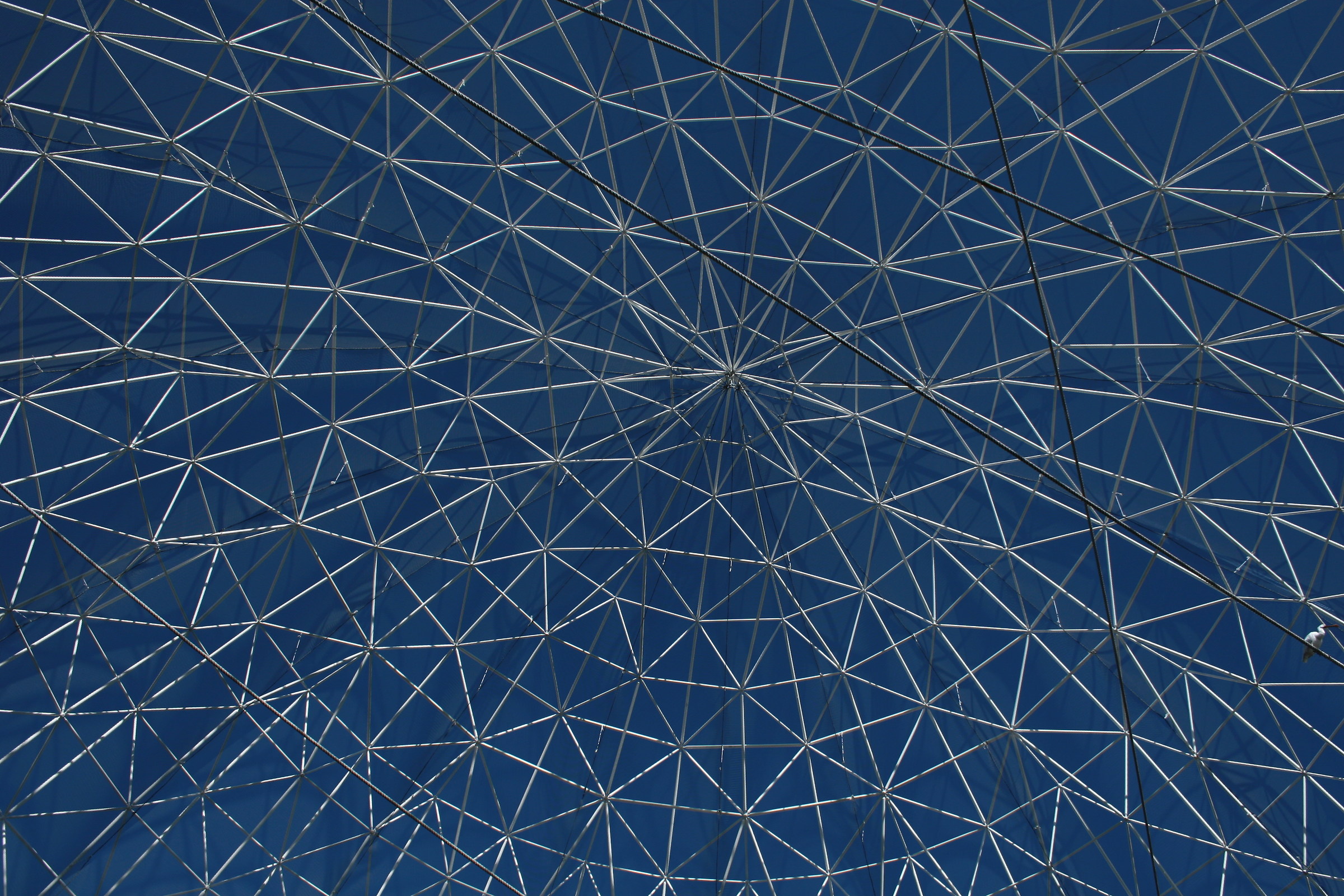 Ciutat de les Arts i les ciències