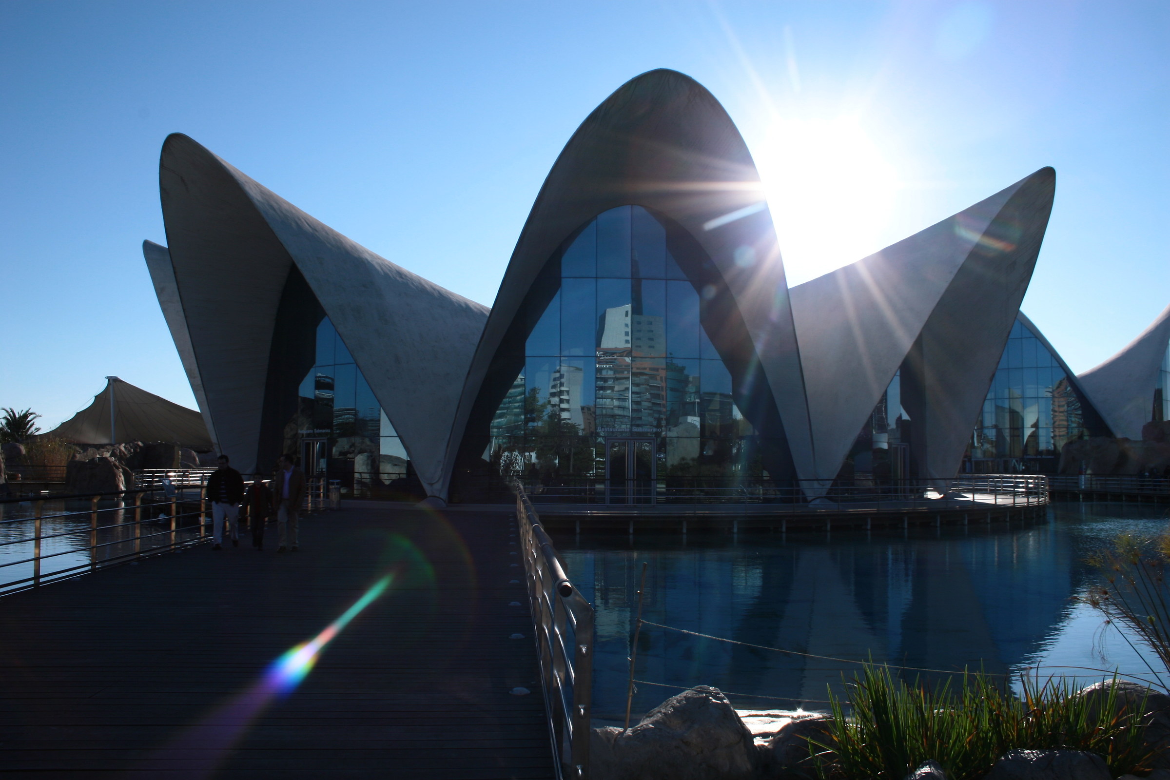 Ciutat de les Arts i les ciències