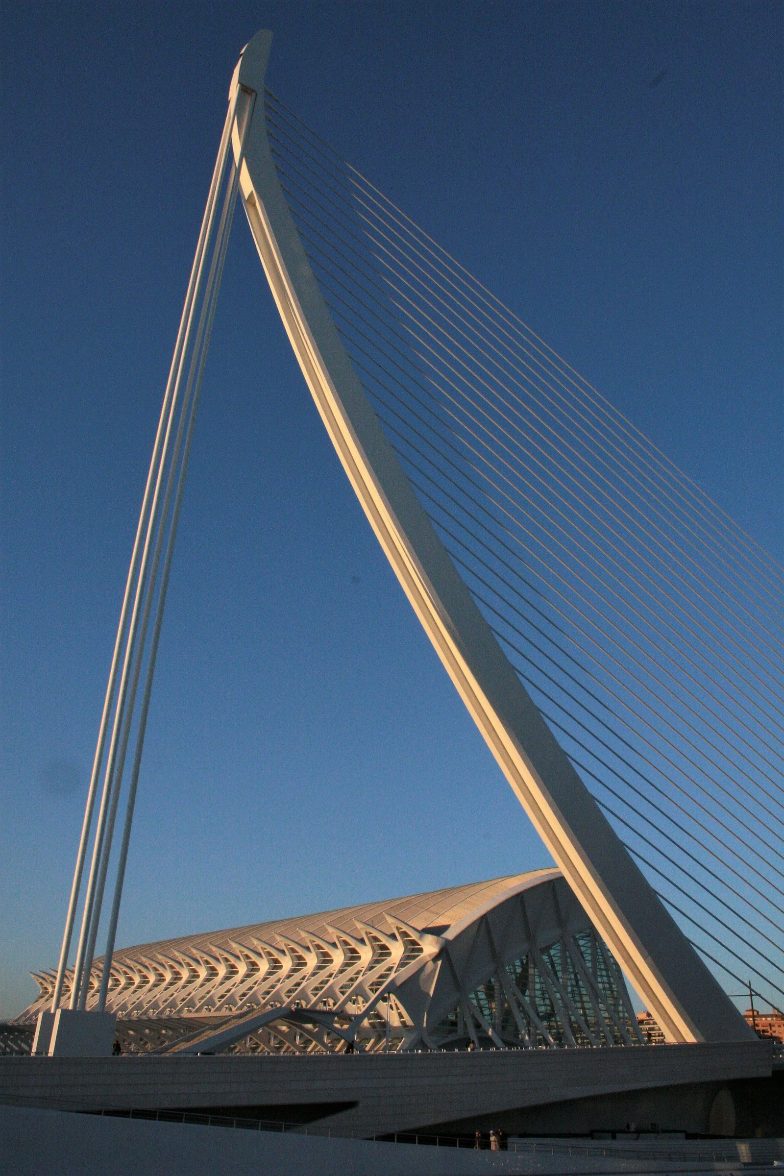 Ciutat de les Arts i les ciències