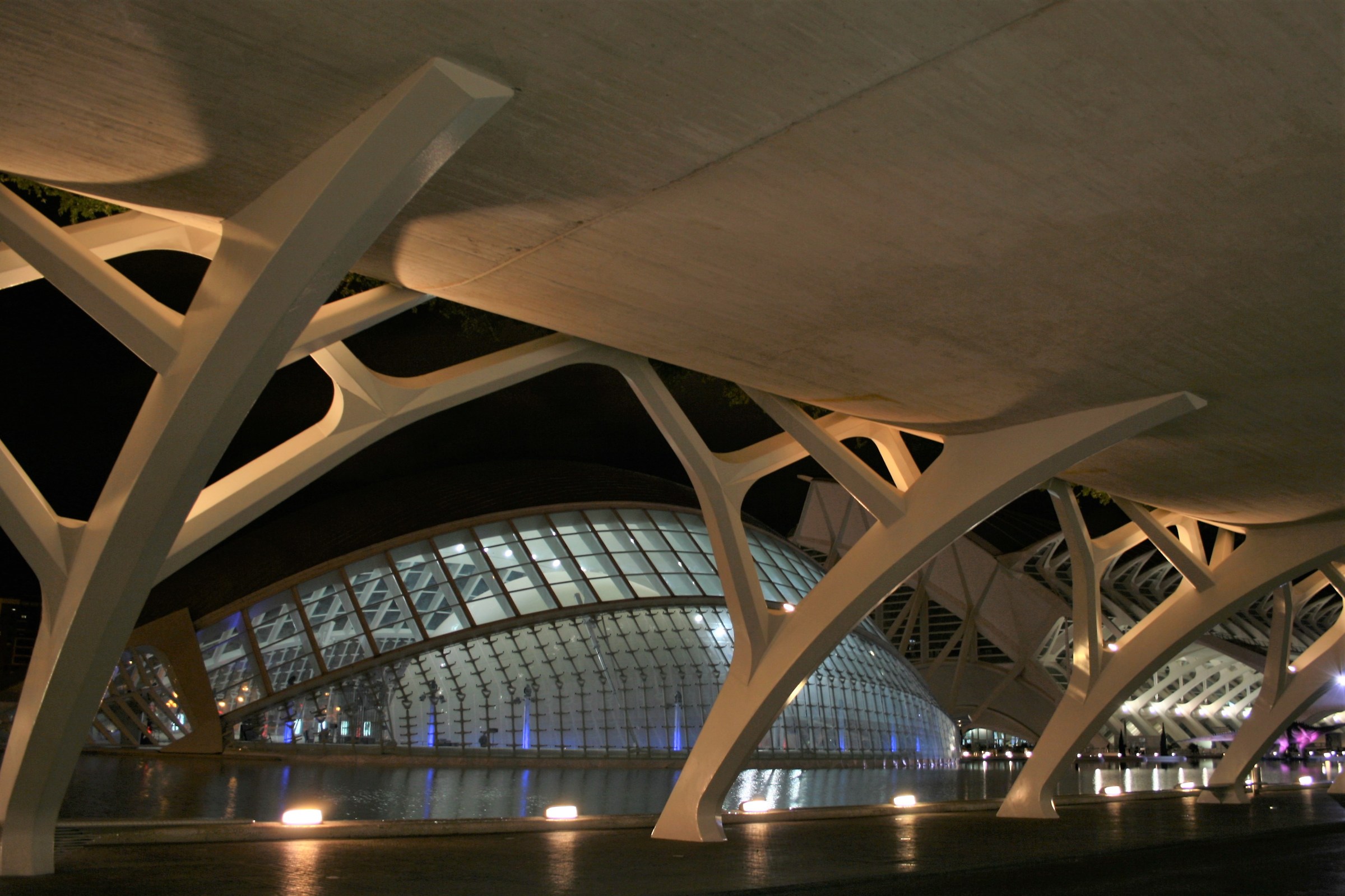 Ciutat de les Arts i les ciències