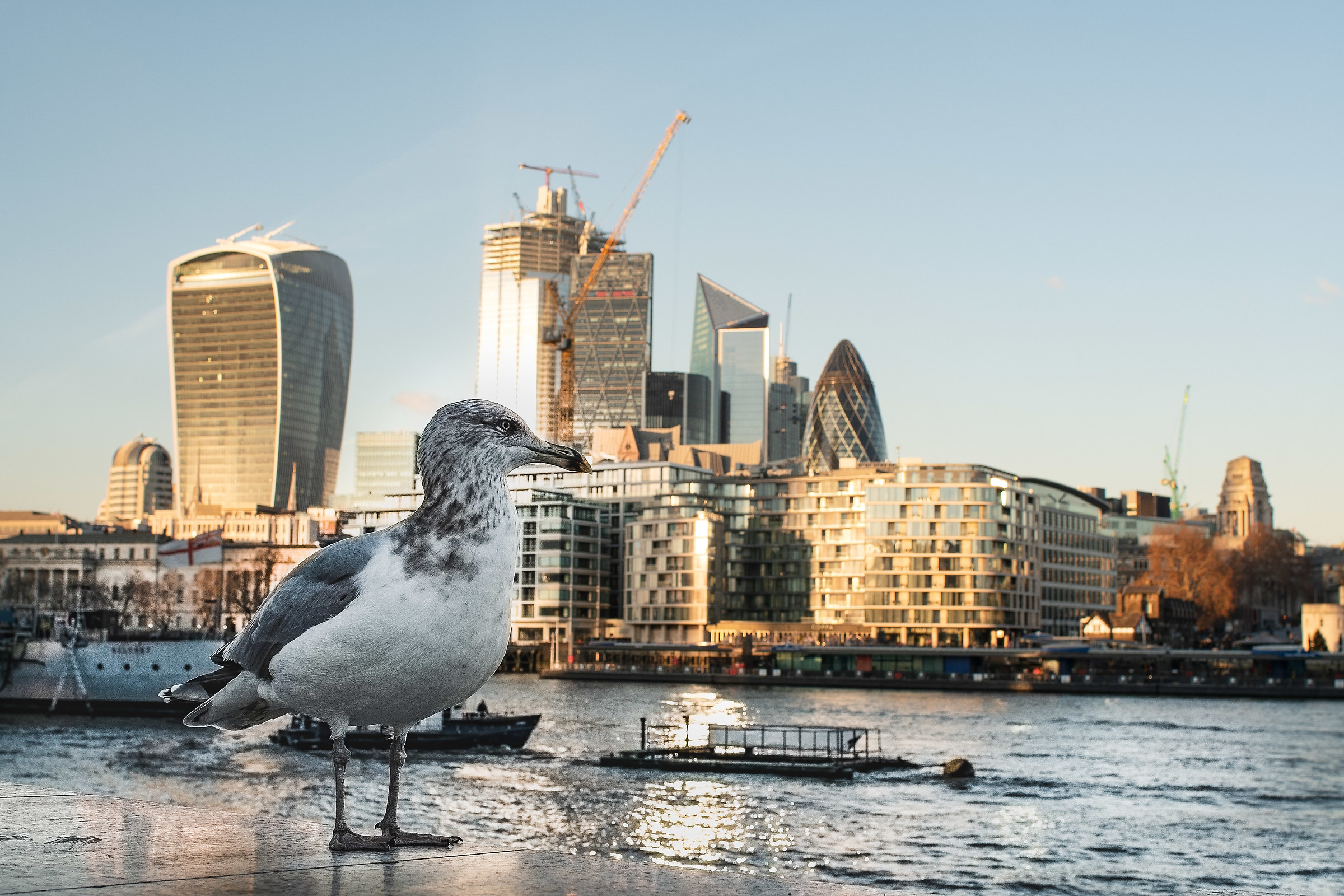 The Guardian of the River