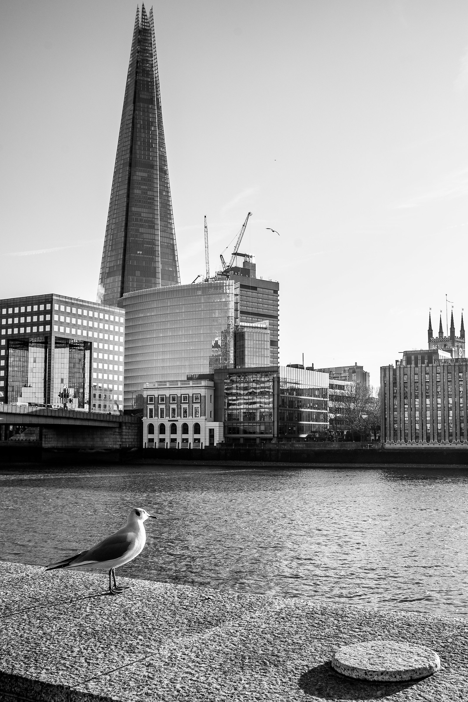 Davide e Golia Londinesi