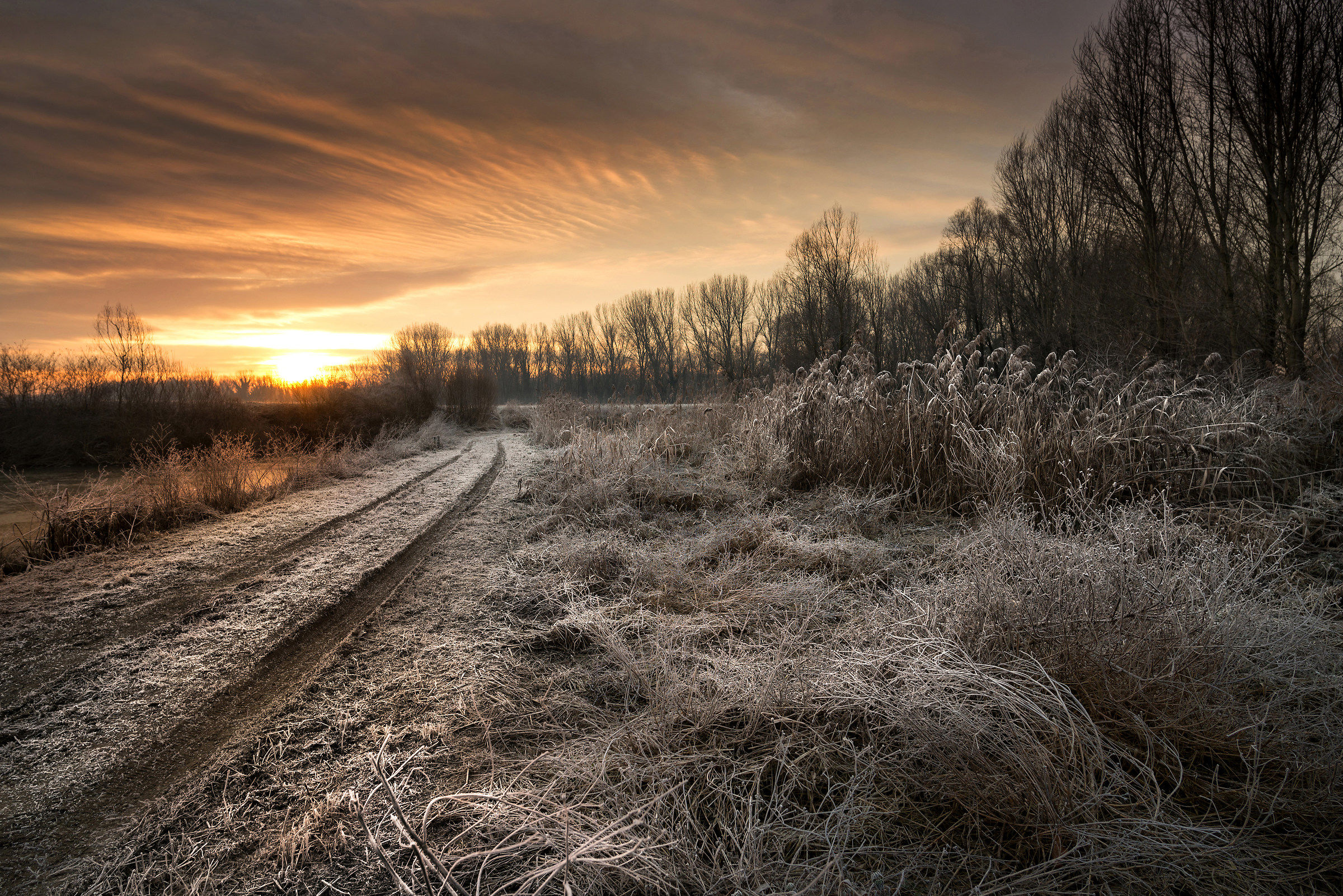 You turn on a new day