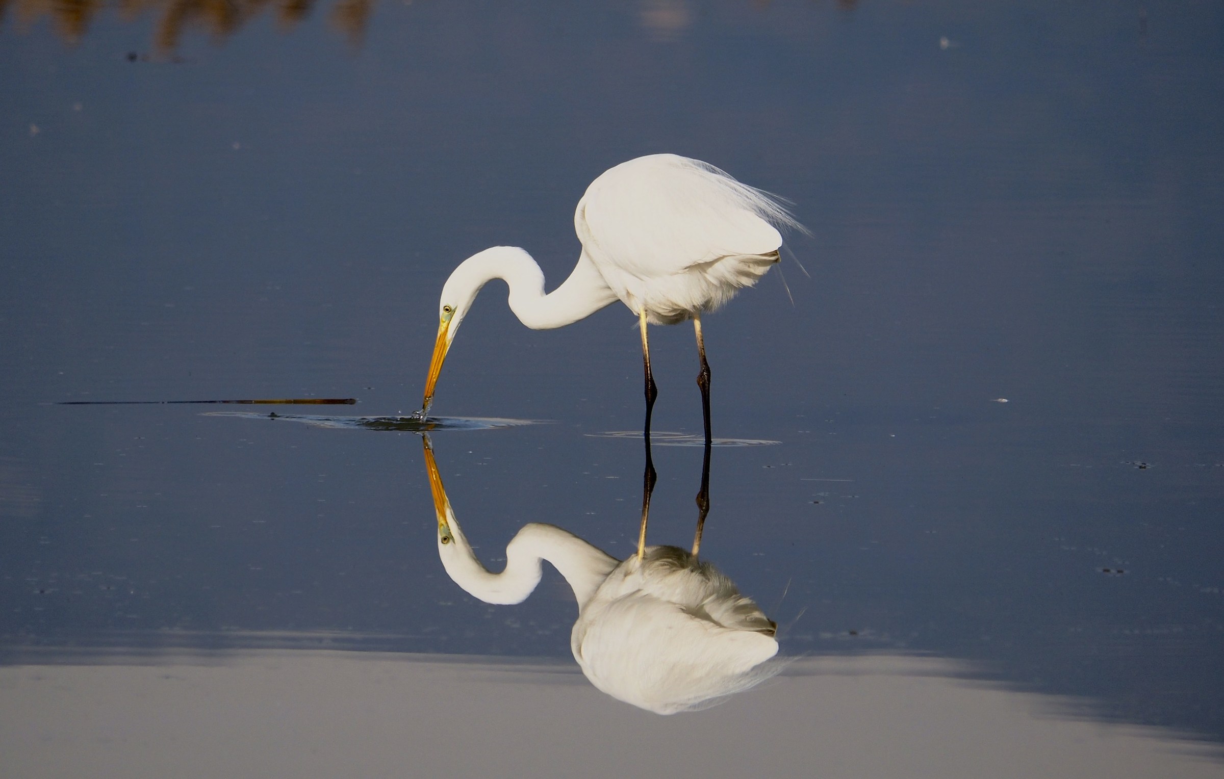 Specchio delle Mie brame....