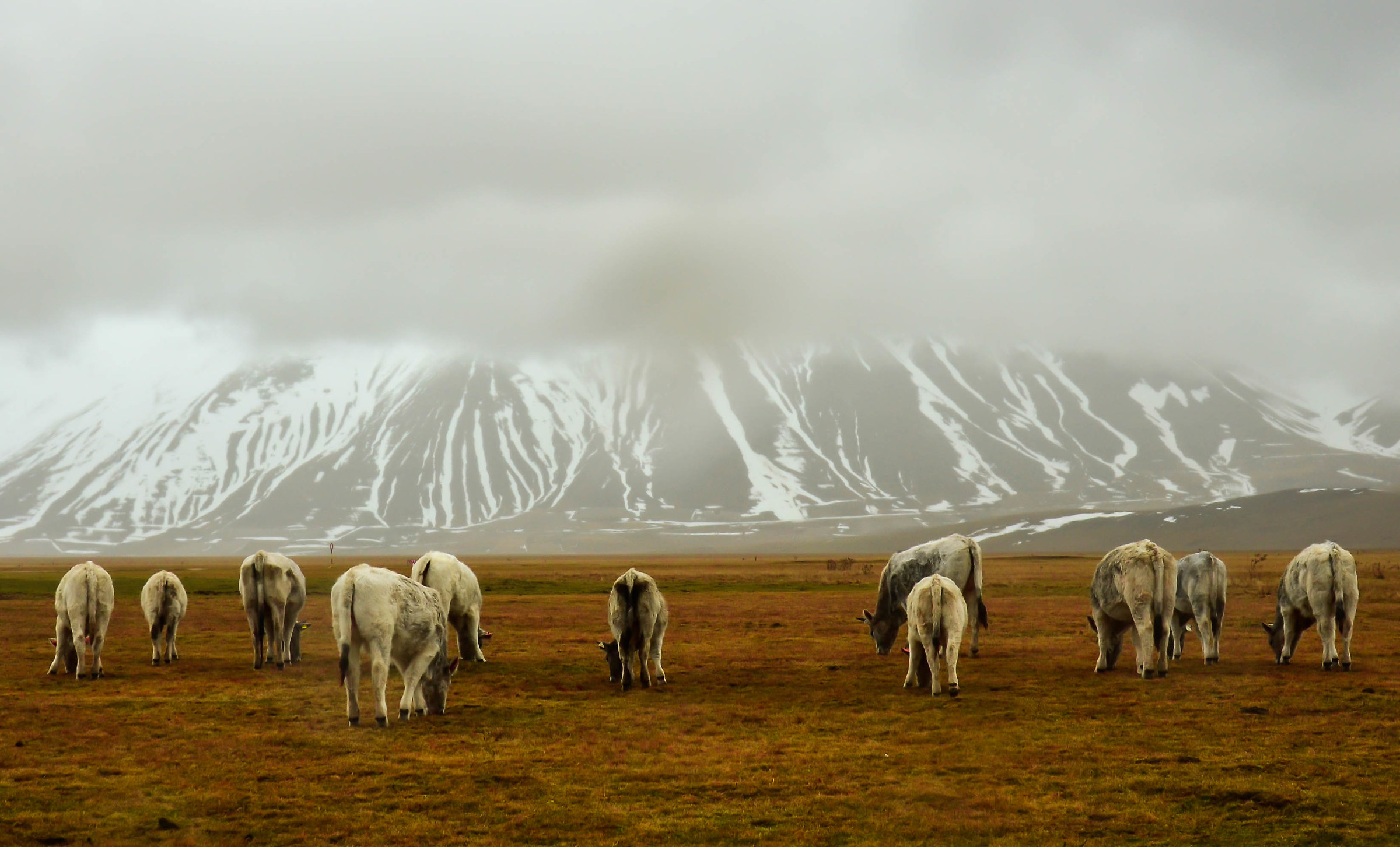 At the foot of Mount carrier