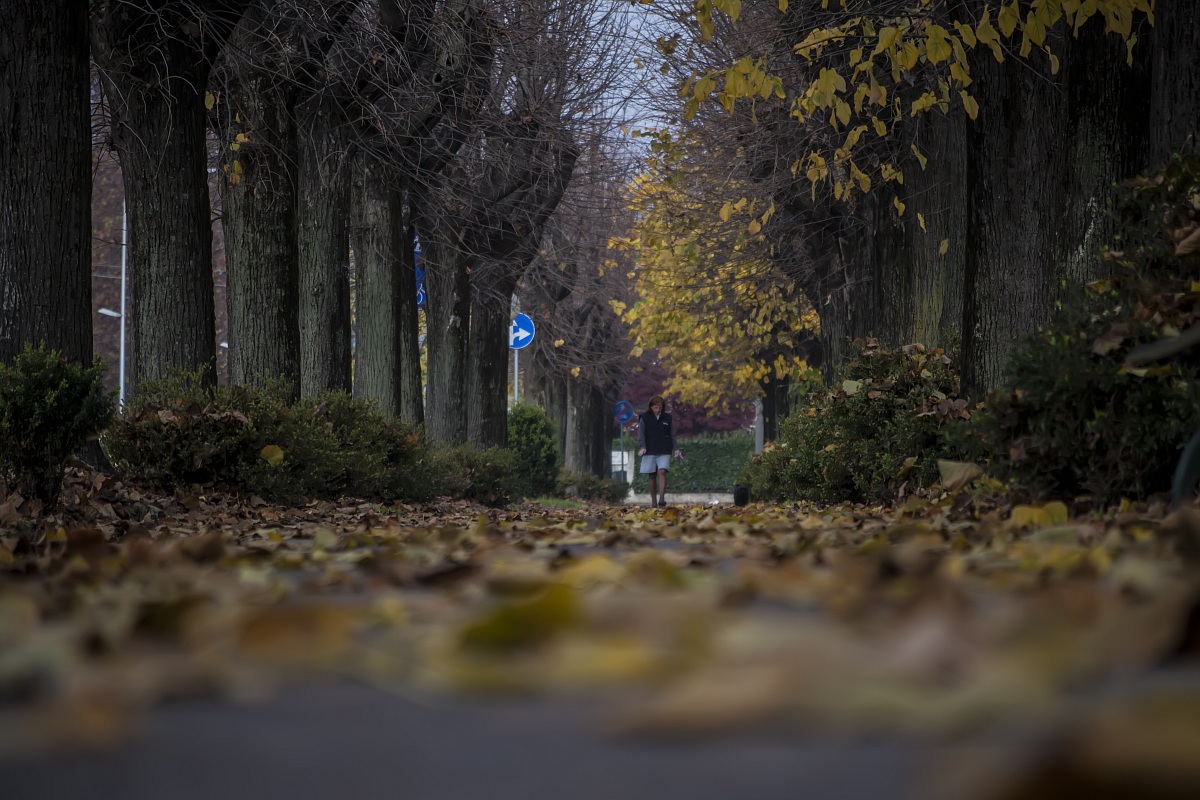 Tristi pensieri d'autunno